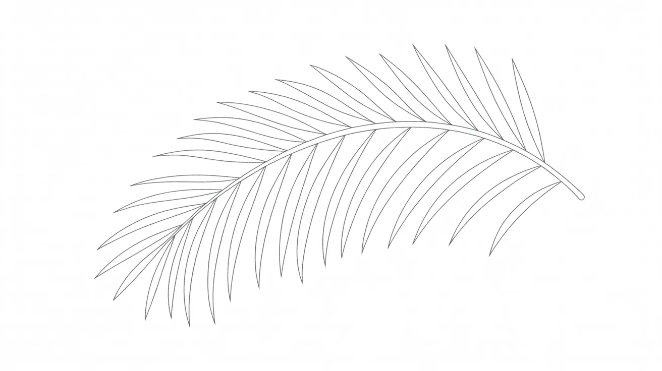 Palm Leaf Outline