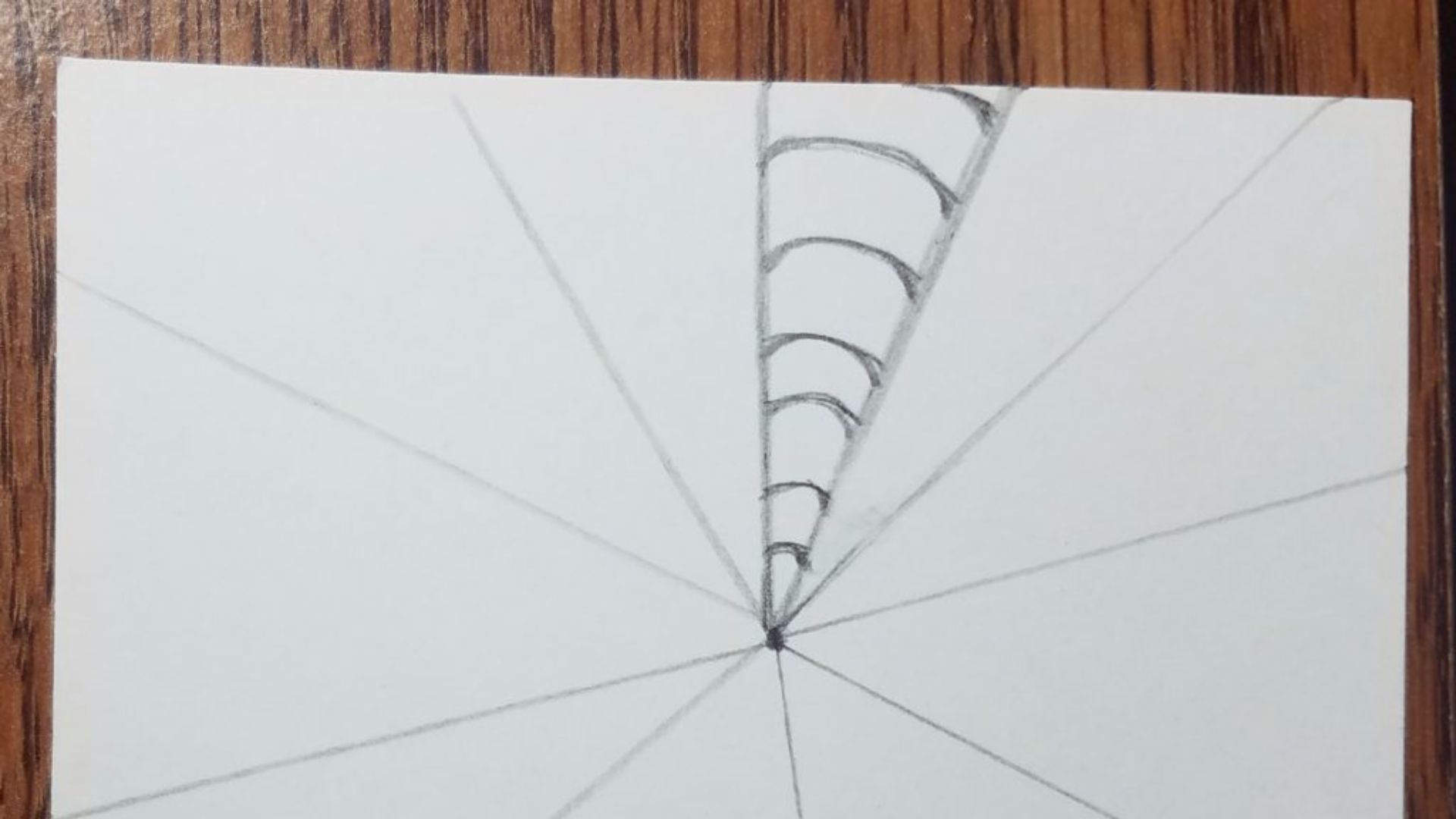 A detailed drawing of a spider web sketched on a piece of white paper.