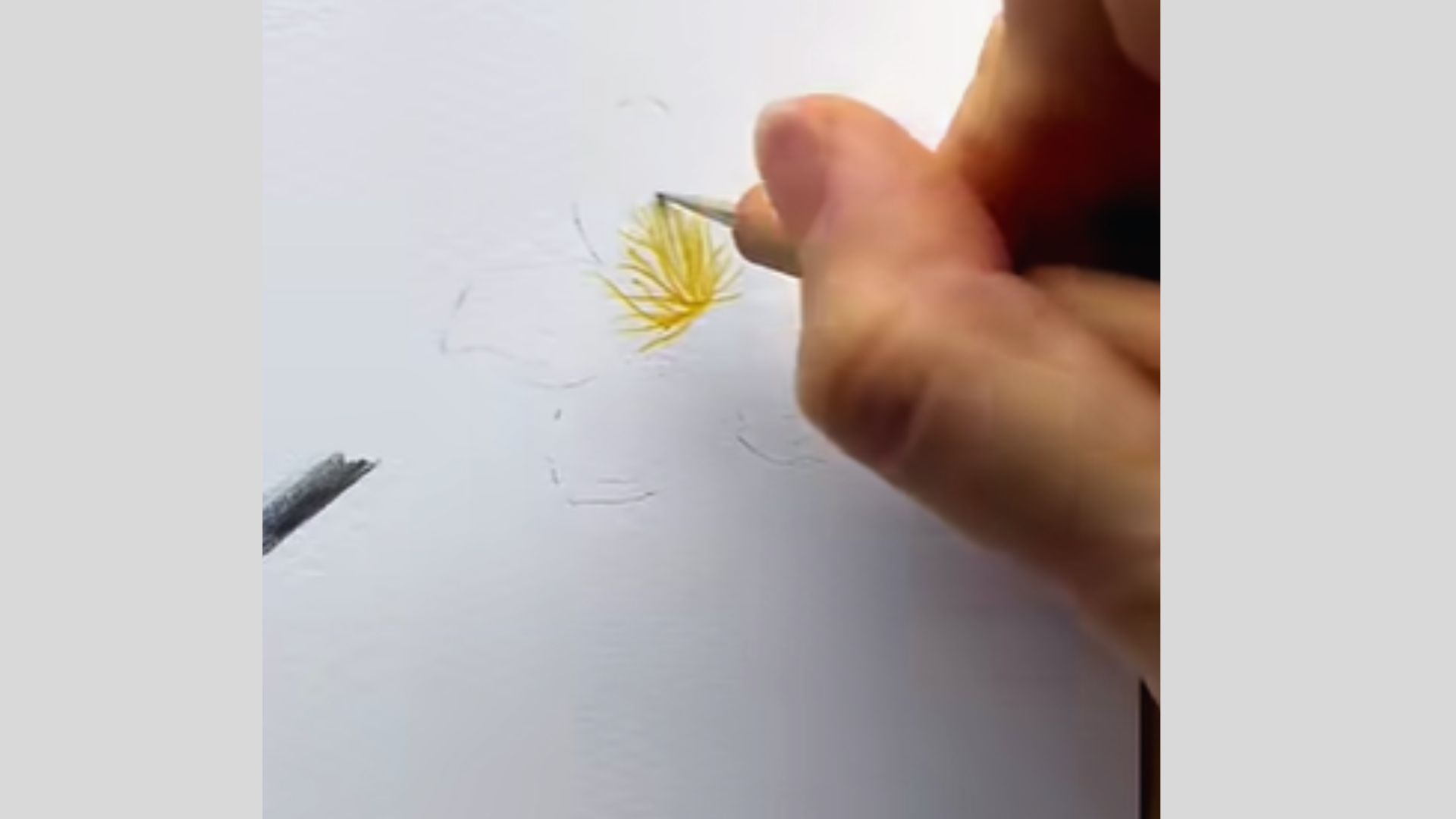 Step-by-step guide illustrating how to draw a flower using a pencil, featuring clear instructions and visual examples.