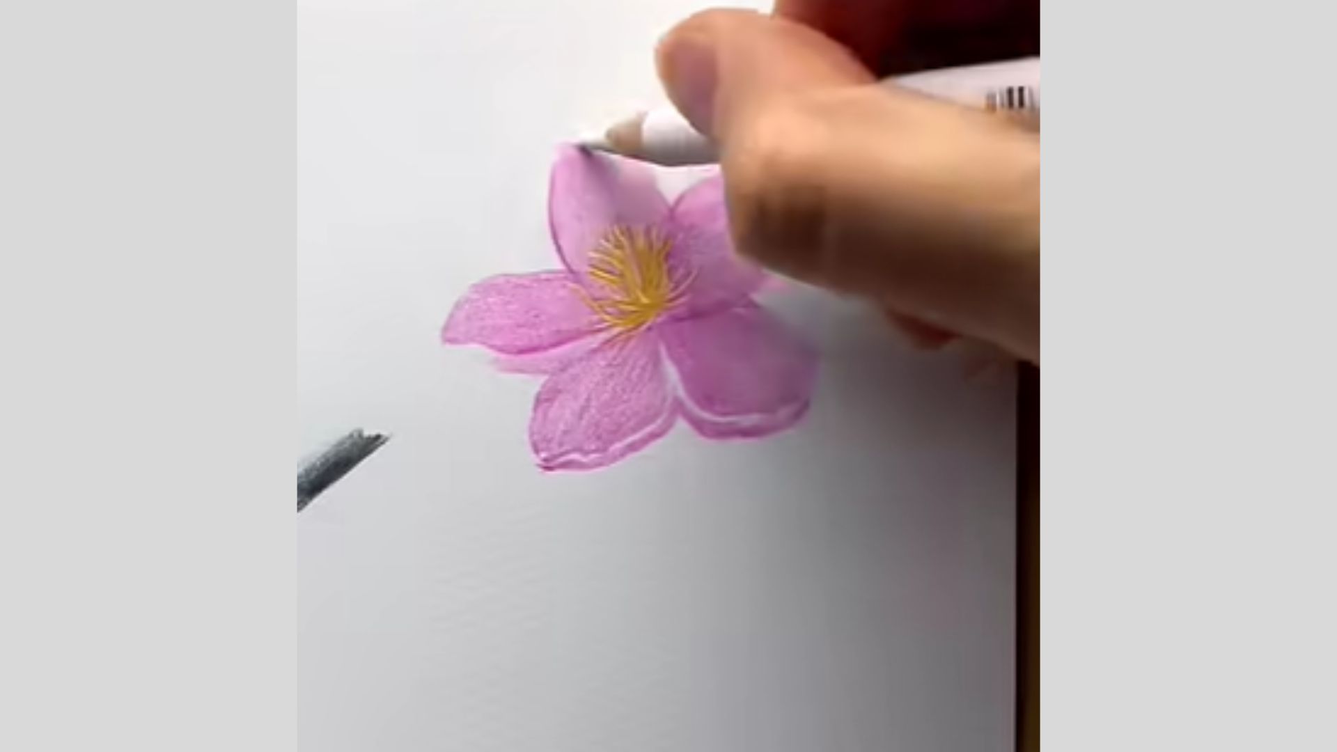 Step 6: Adding Highlights & Final Details
