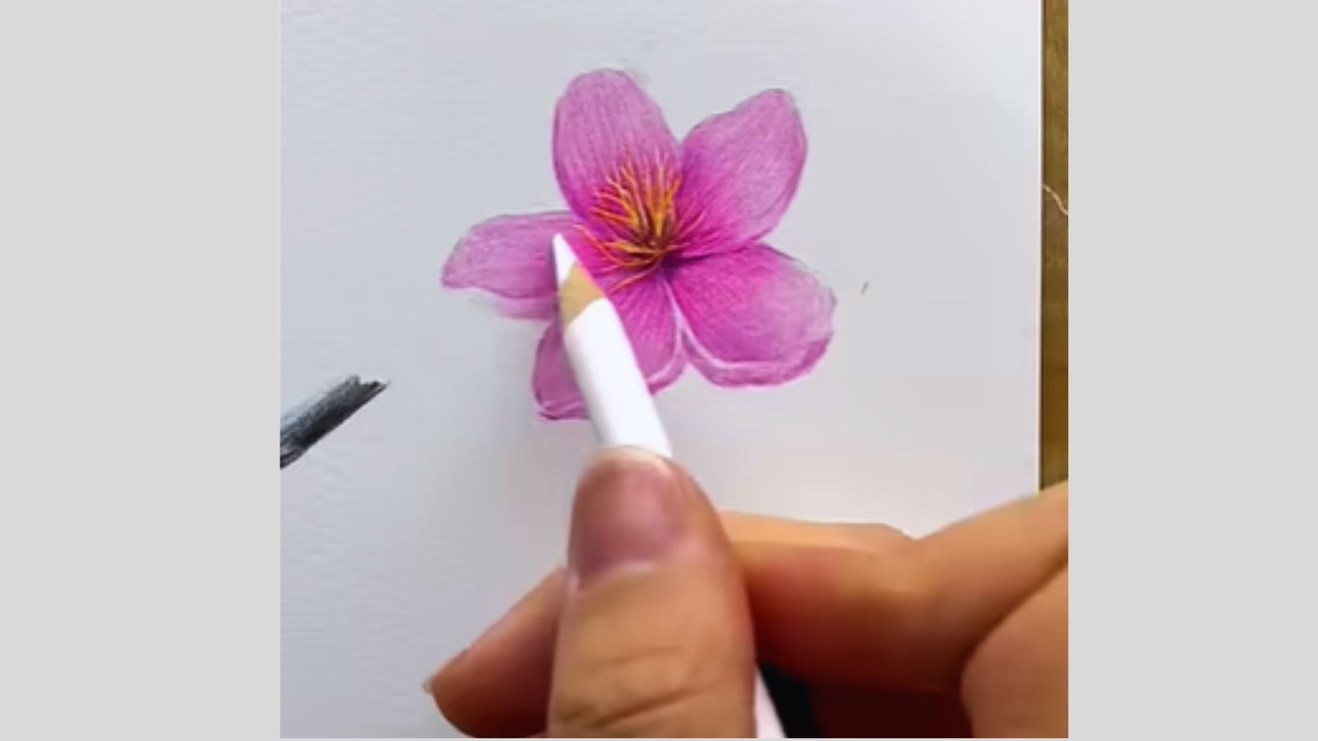 Step-by-step guide on drawing a flower using watercolor pencils, showcasing techniques and color blending.