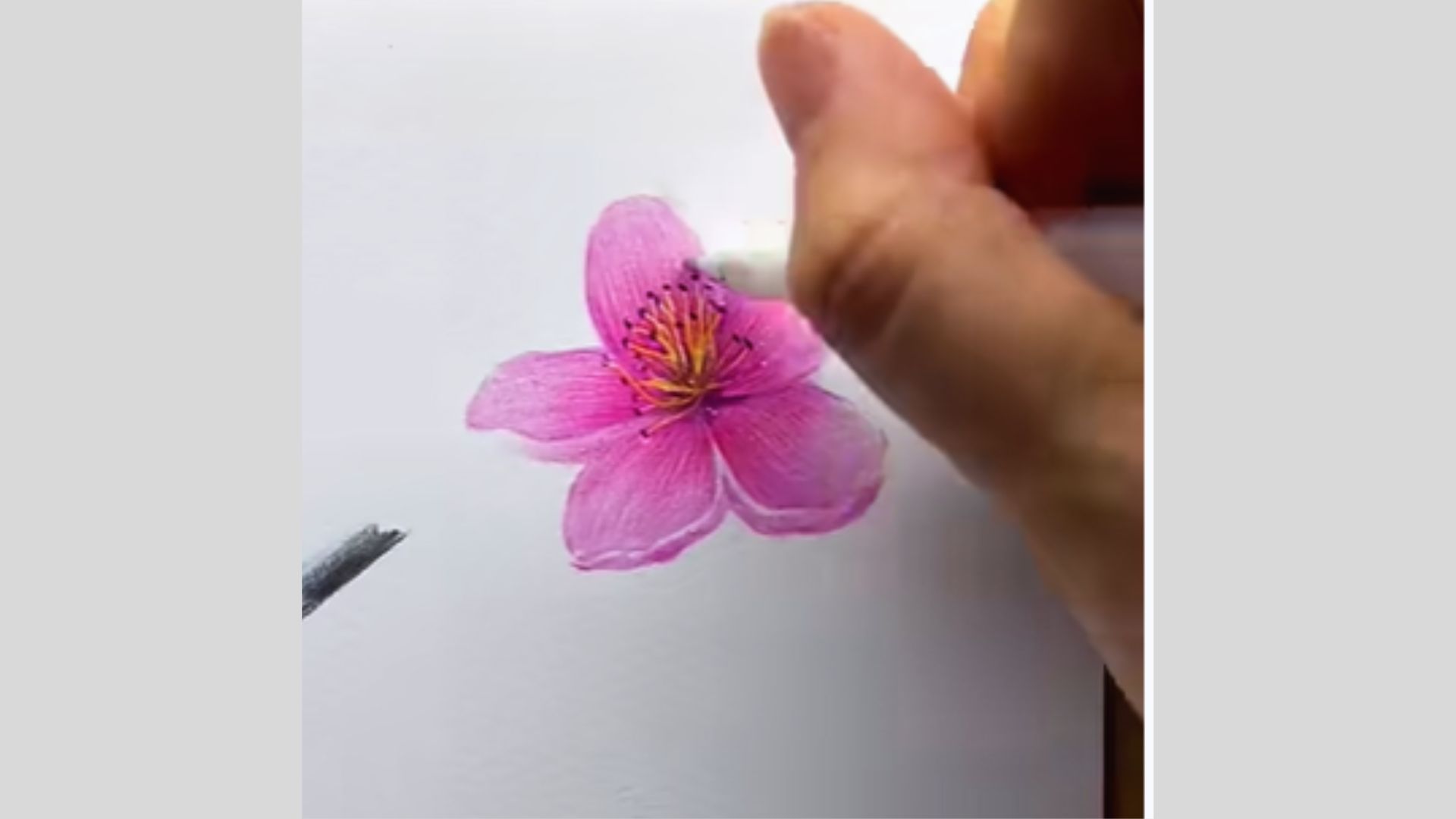 A tutorial image showing steps to draw a flower using watercolor techniques on YouTube.