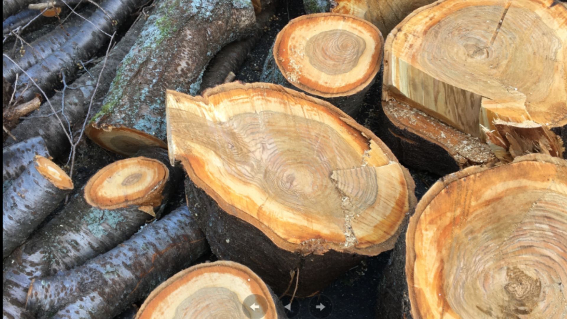 4. Cherry – Smooth and Stable Hardwood