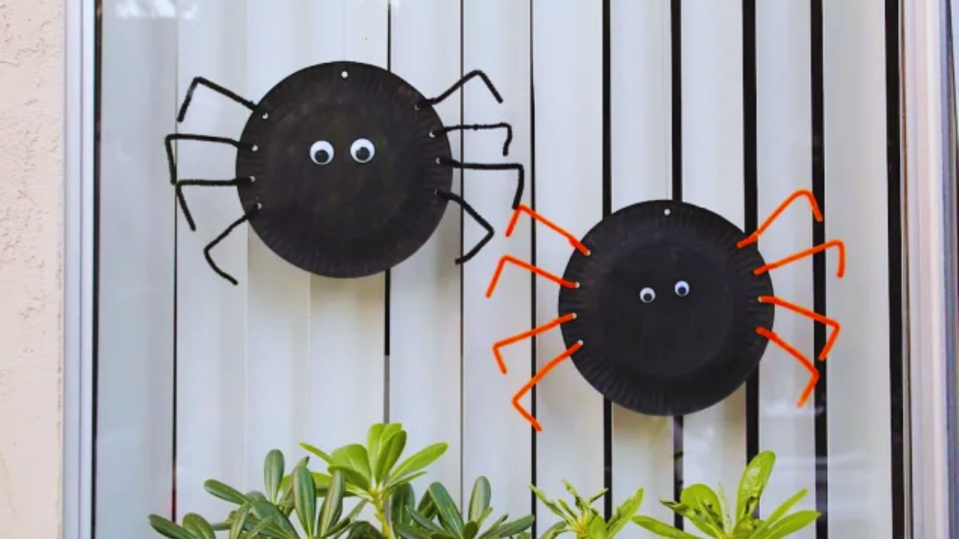 Two Halloween-themed paper plates with spider decorations are hanging in a window, creating a festive atmosphere.
