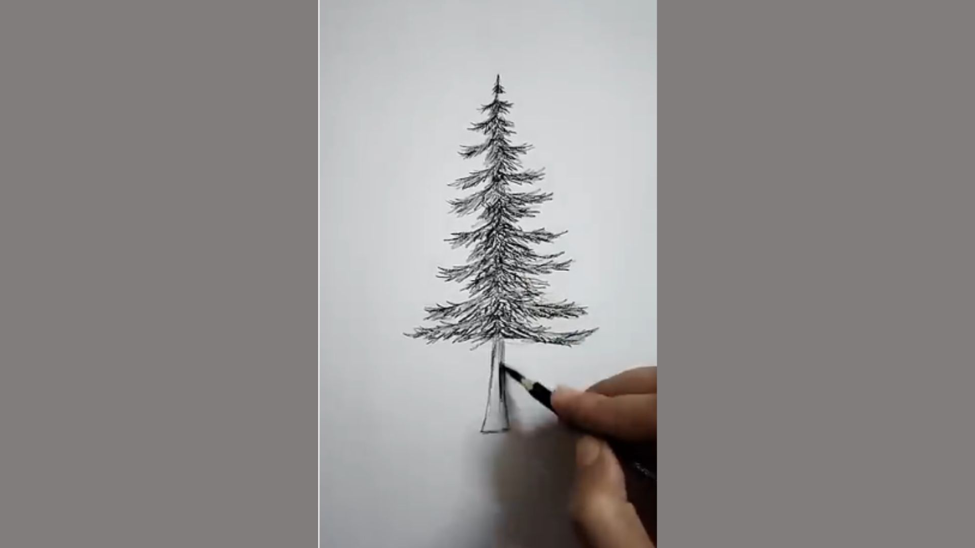 A person sketching a pine tree with a pencil on a blank sheet of paper.