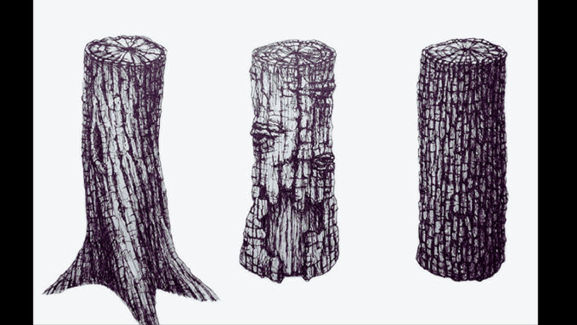 Three distinct tree trunks are displayed, showcasing variations in texture, color, and size.