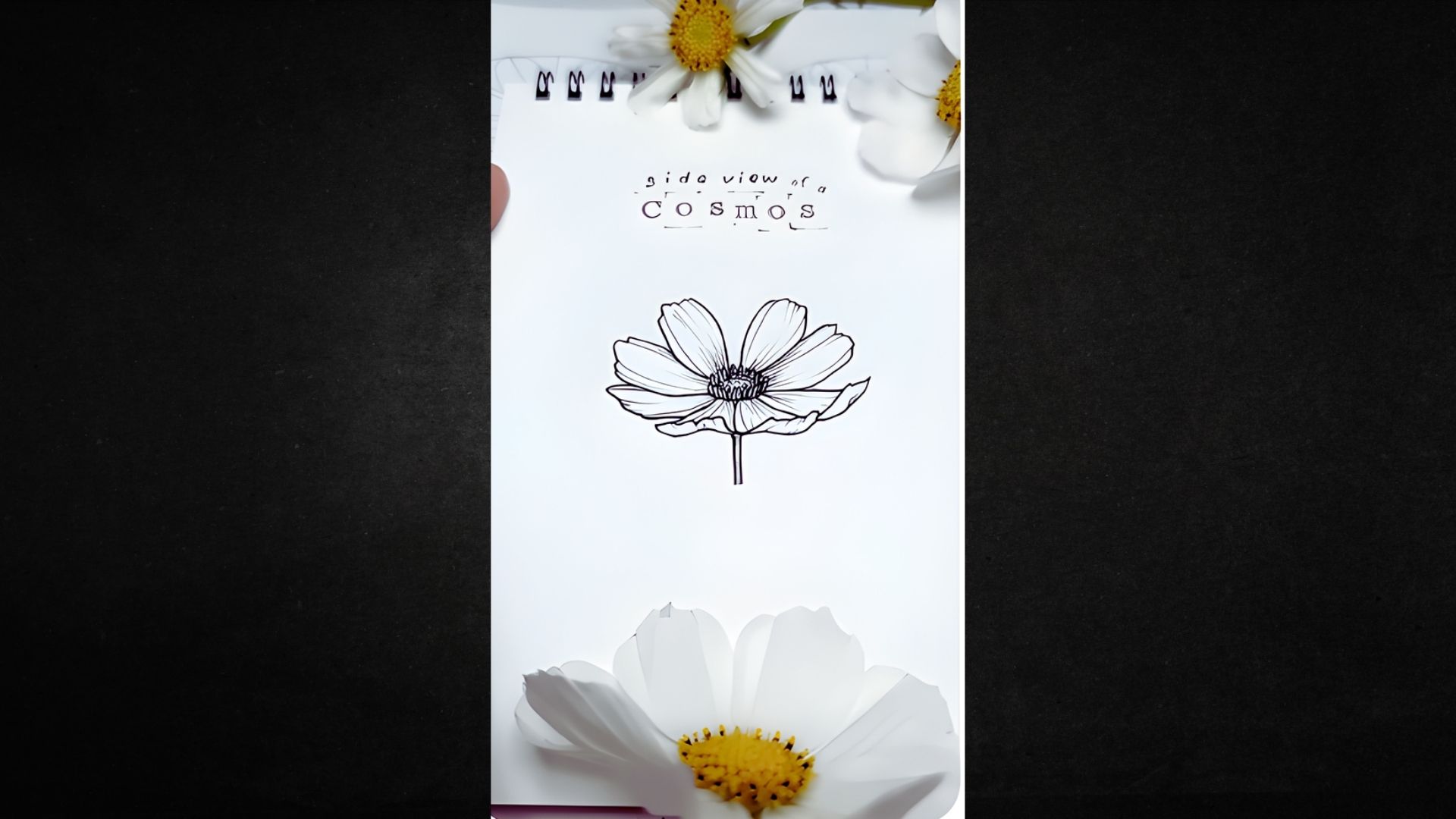 Refine the Petal Edges and Add Stem