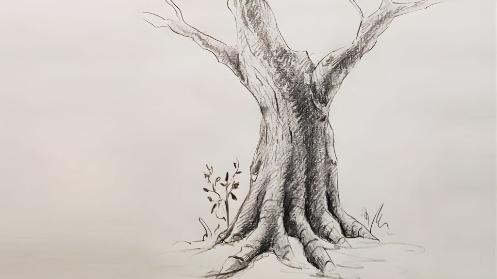 Tree Trunk Drawing in 60 Minutes