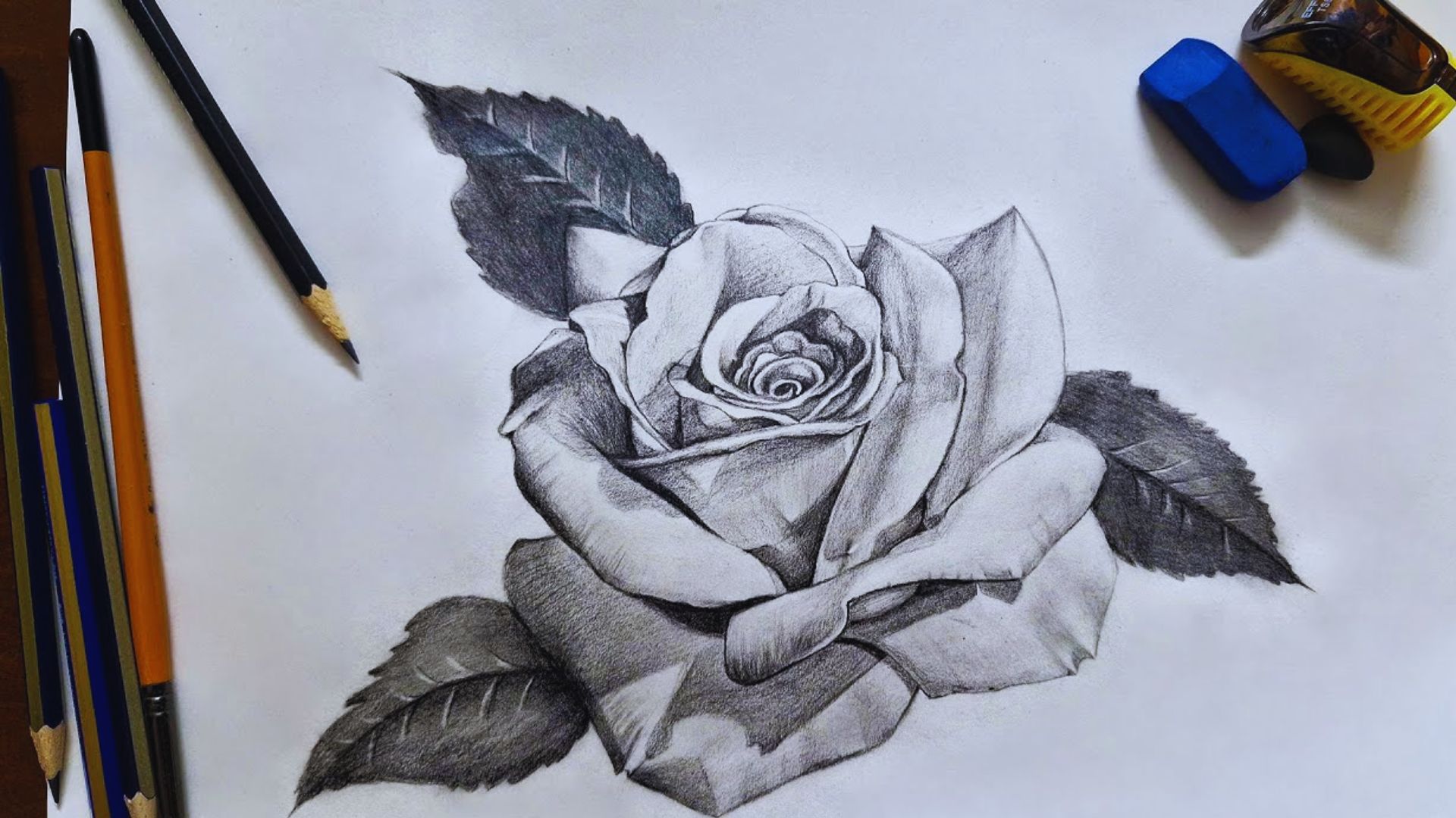 1. A detailed drawing of a rose sketched on a white piece of paper.