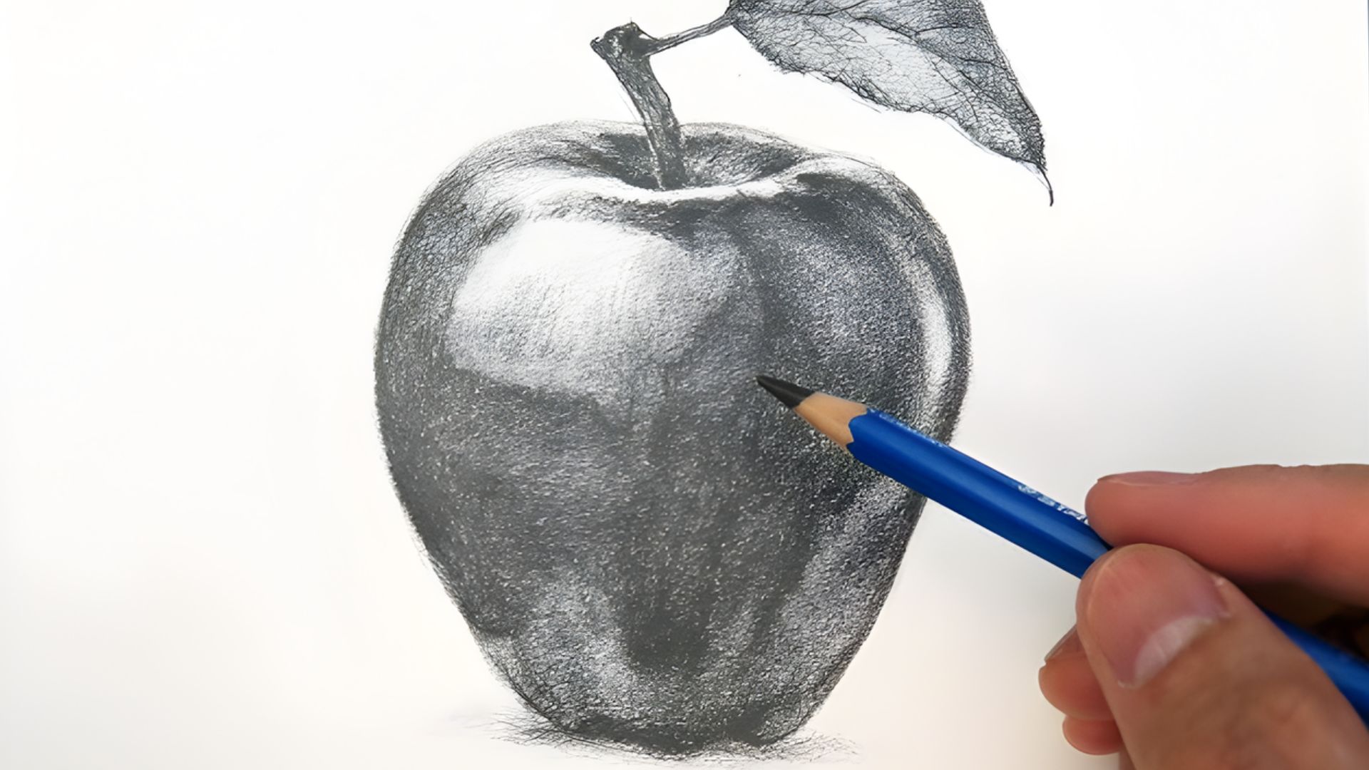 Step-by-step guide illustrating how to draw an apple, featuring basic shapes and shading techniques.