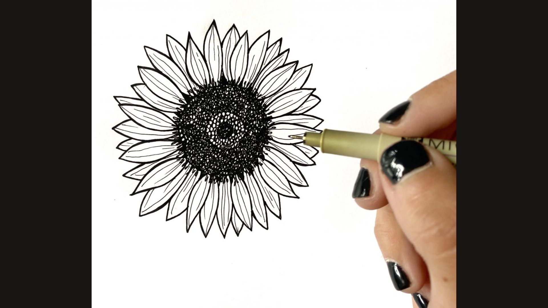 Instructional image showing the process of drawing a sunflower with a pen, including key techniques and tips.