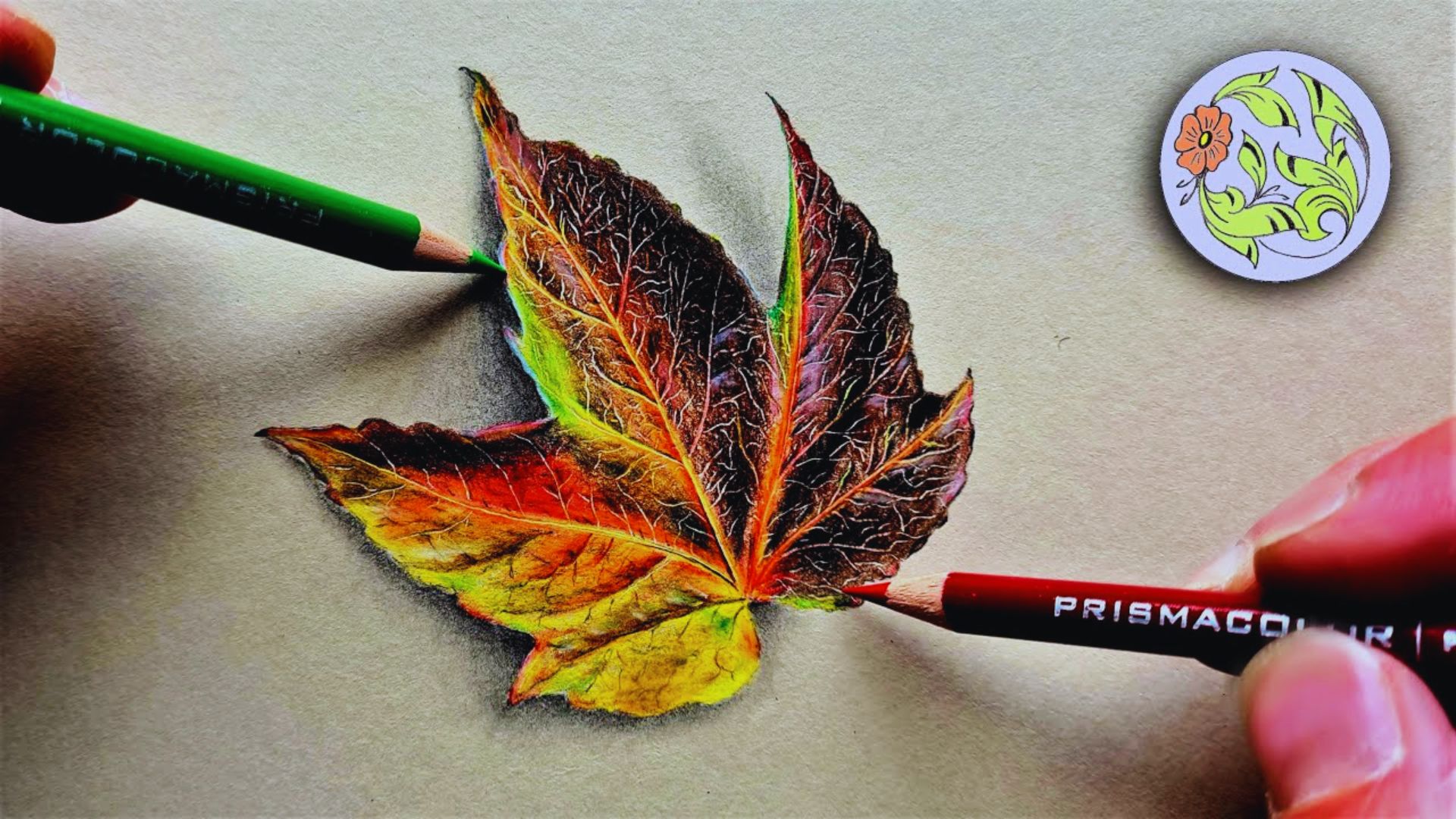 An individual sketching a leaf with colored pencils, focusing on intricate details.
