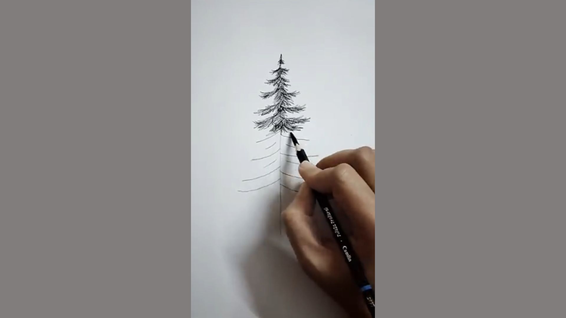 A person sketching a tree with a pencil on a blank sheet of paper, focused on their artwork.