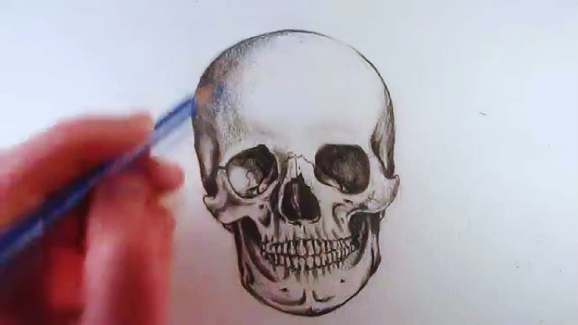 Realistic Skull