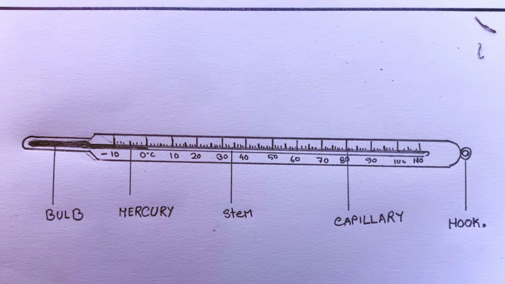 Drawing of a thermometer labeled with repeated words: "baldy, she, cal, cali" and variations of "cali" multiple times.