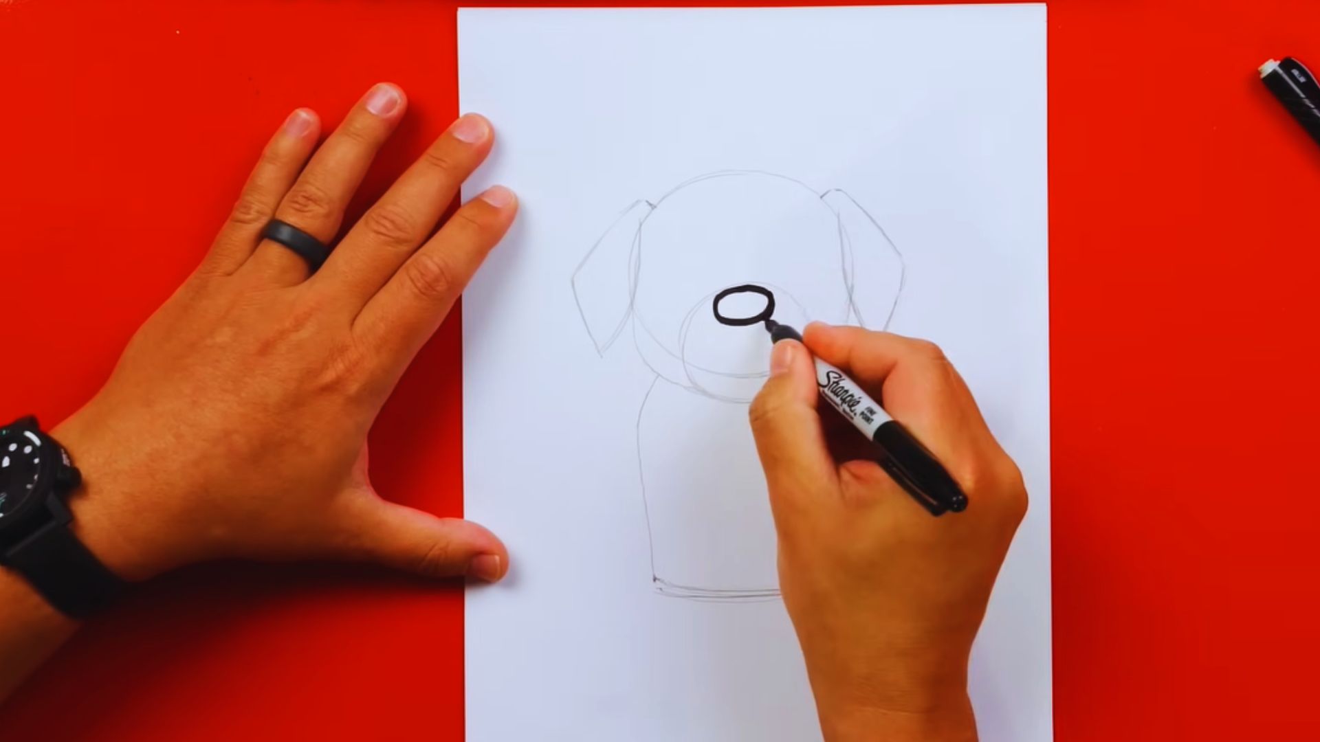 Step-by-step guide illustrating how to draw a dog, featuring simple shapes and lines for beginners.