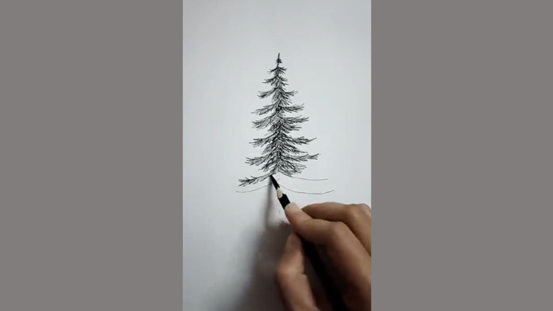 An individual drawing a detailed pine tree using a pencil on a white surface.