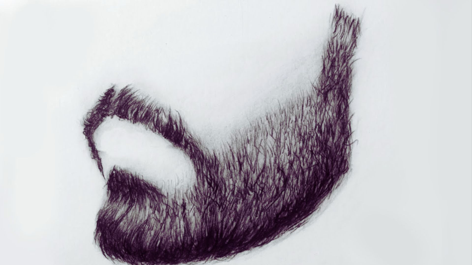 An artistic representation of a man's face showcasing a thick, well-defined beard.