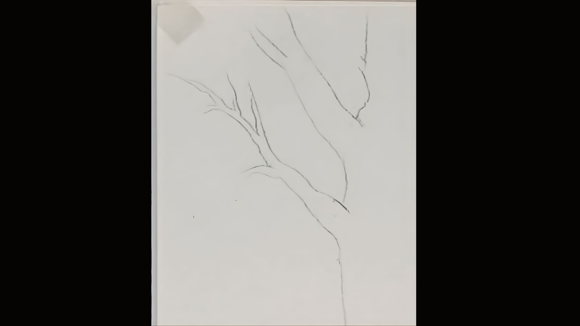 Add Bark Texture & Shading