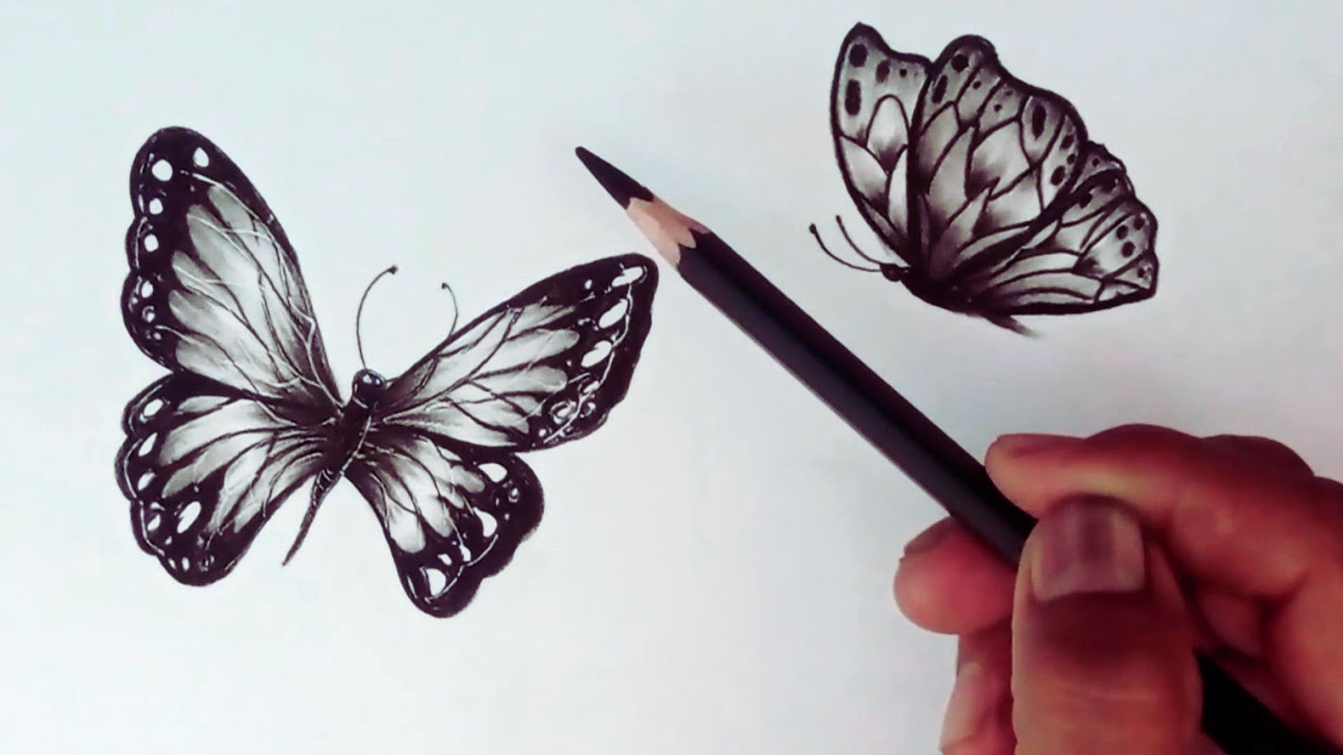 Step-by-step guide illustrating how to draw a butterfly using pencil techniques.