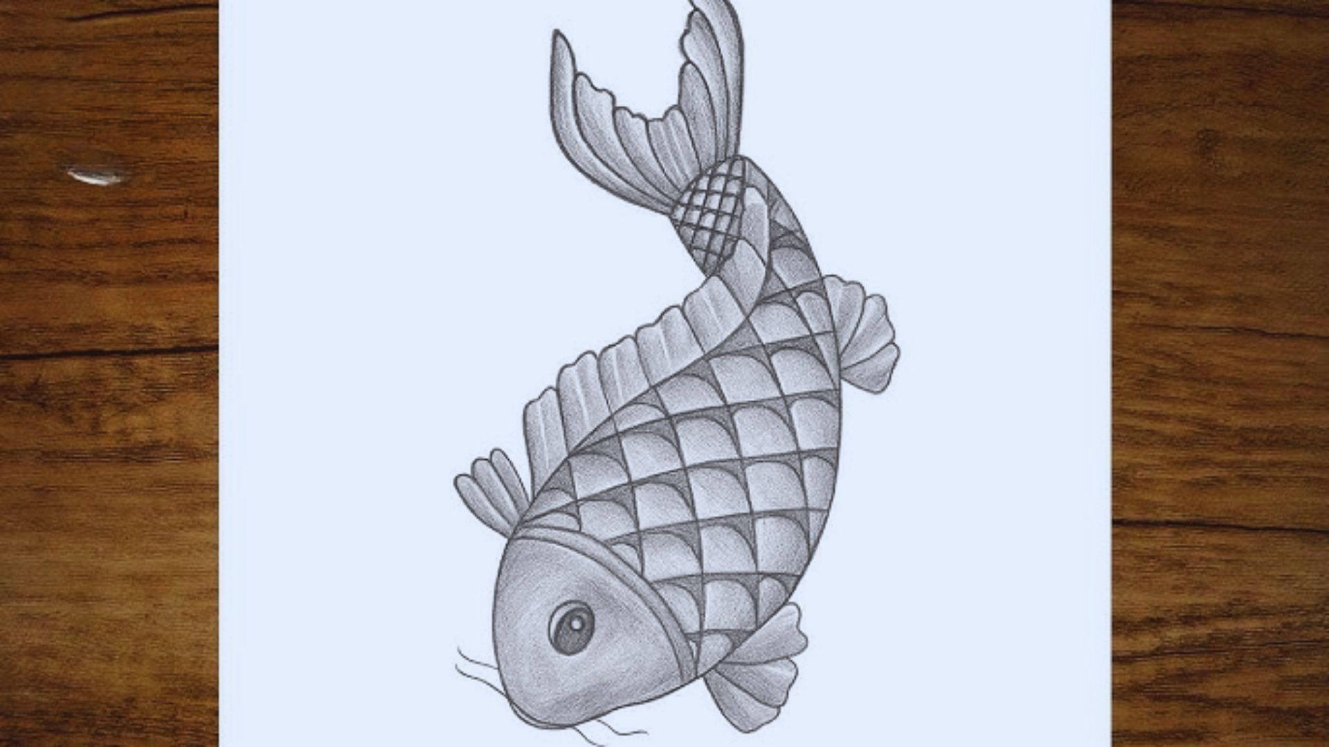 A drawing of a fish resting on a wooden table, showcasing detailed lines and shading.