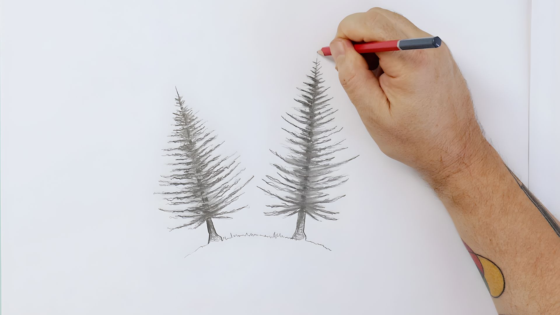 A person sketches a tree using a red pen on a blank sheet of paper.