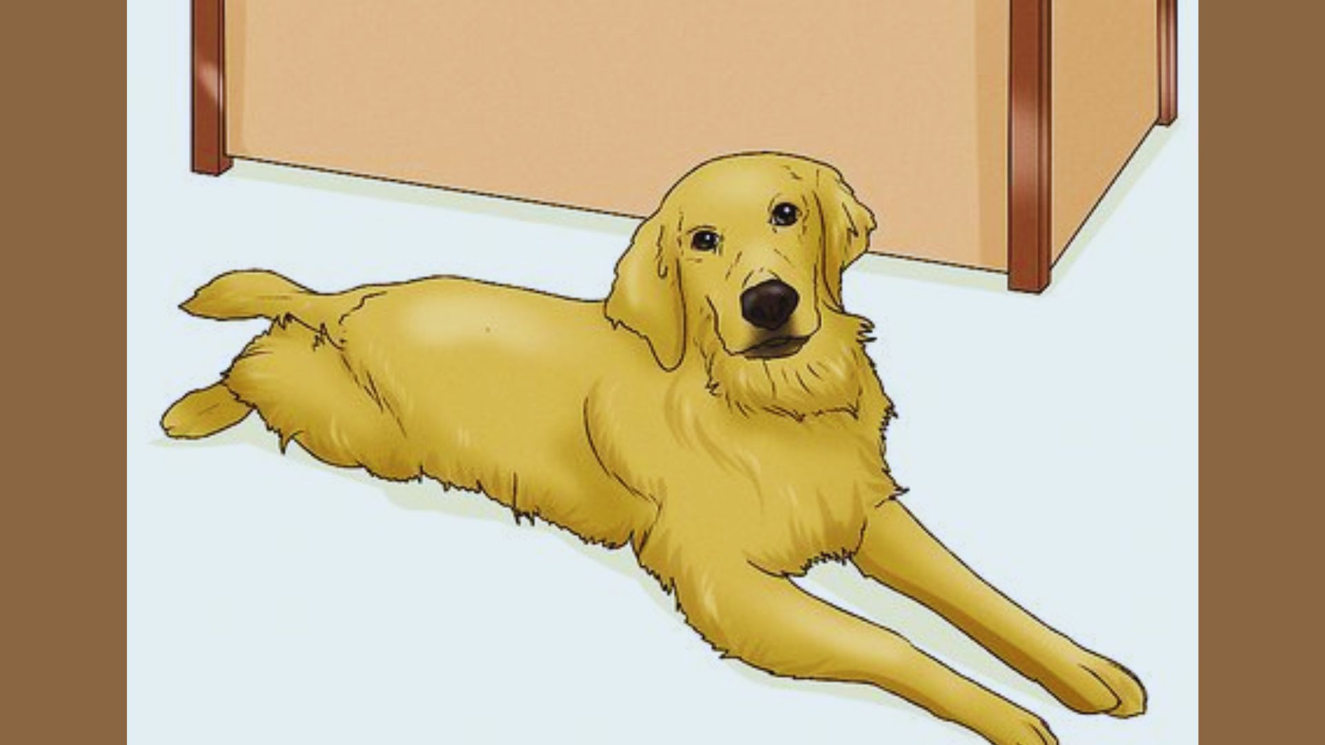 Step 5 of dog training: a trainer instructs a dog to sit using a treat as a reward for compliance.