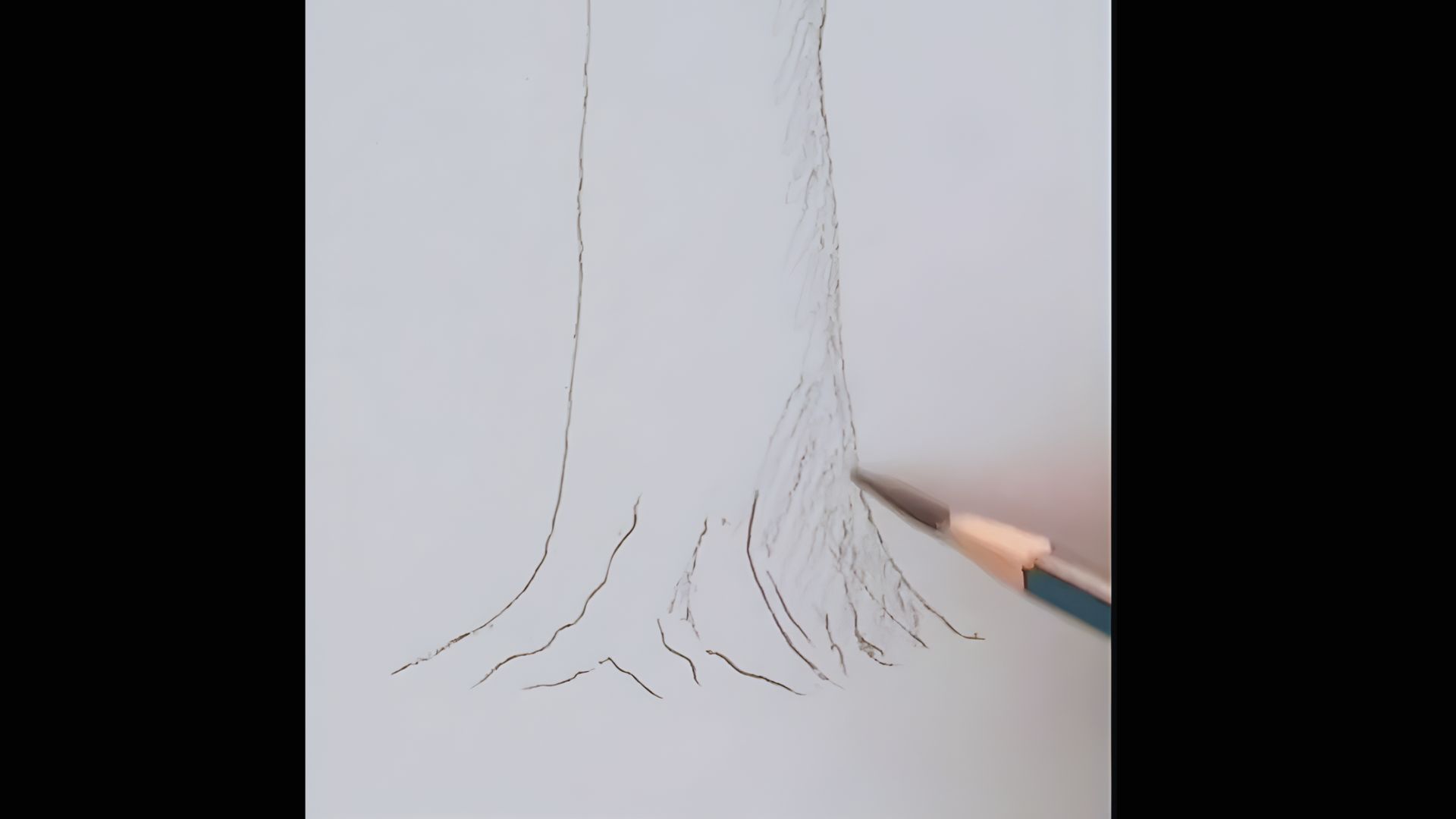 Shade the Roots