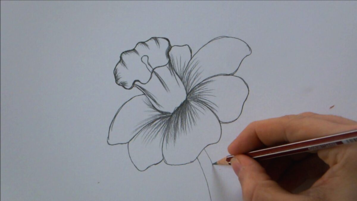 Realistic Flower Drawing Step-by-Step for Beginners - TheMasterCraft