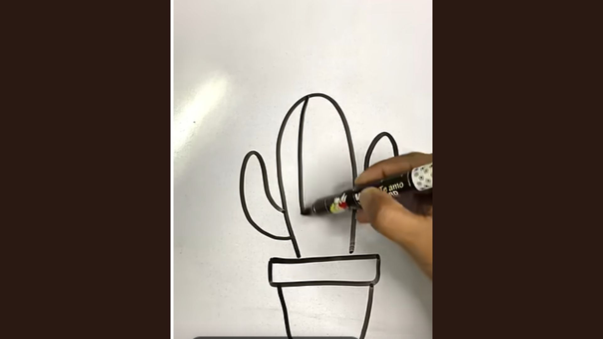 Tall oval cactus body in the center with curved vertical section lines inside.
