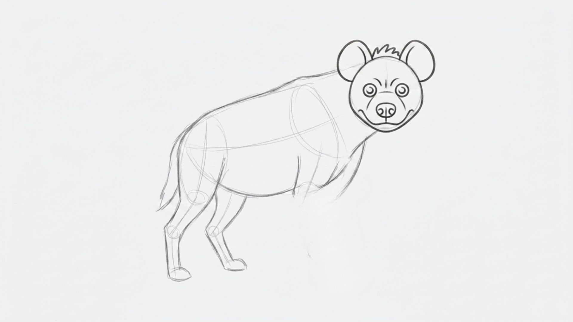 Hyena body outline with sloping back and curved belly drawn in simple lines and without front legs