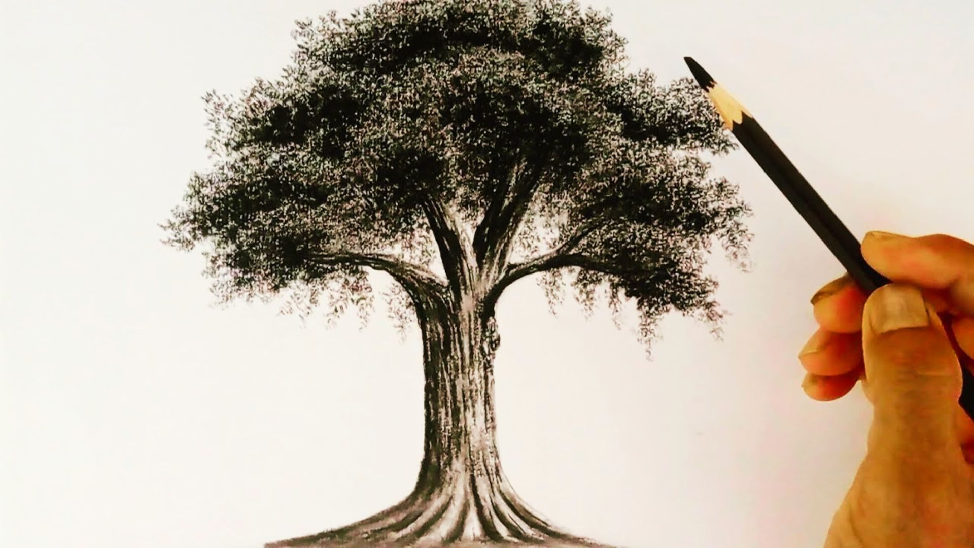 Hand sketches a large, textured tree with dense foliage using a graphite pencil.