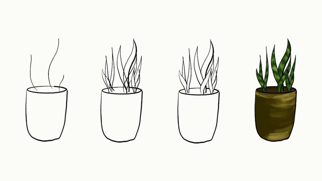 Step by step easy drawing of snake plant in pot from outline to colored leaves tutorial.