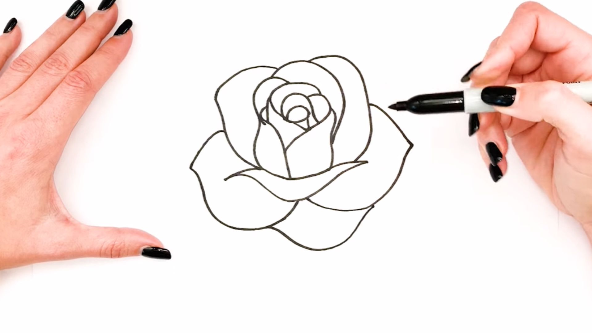 "Step-by-step guide illustrating how to draw a rose, featuring clear instructions and visual examples."