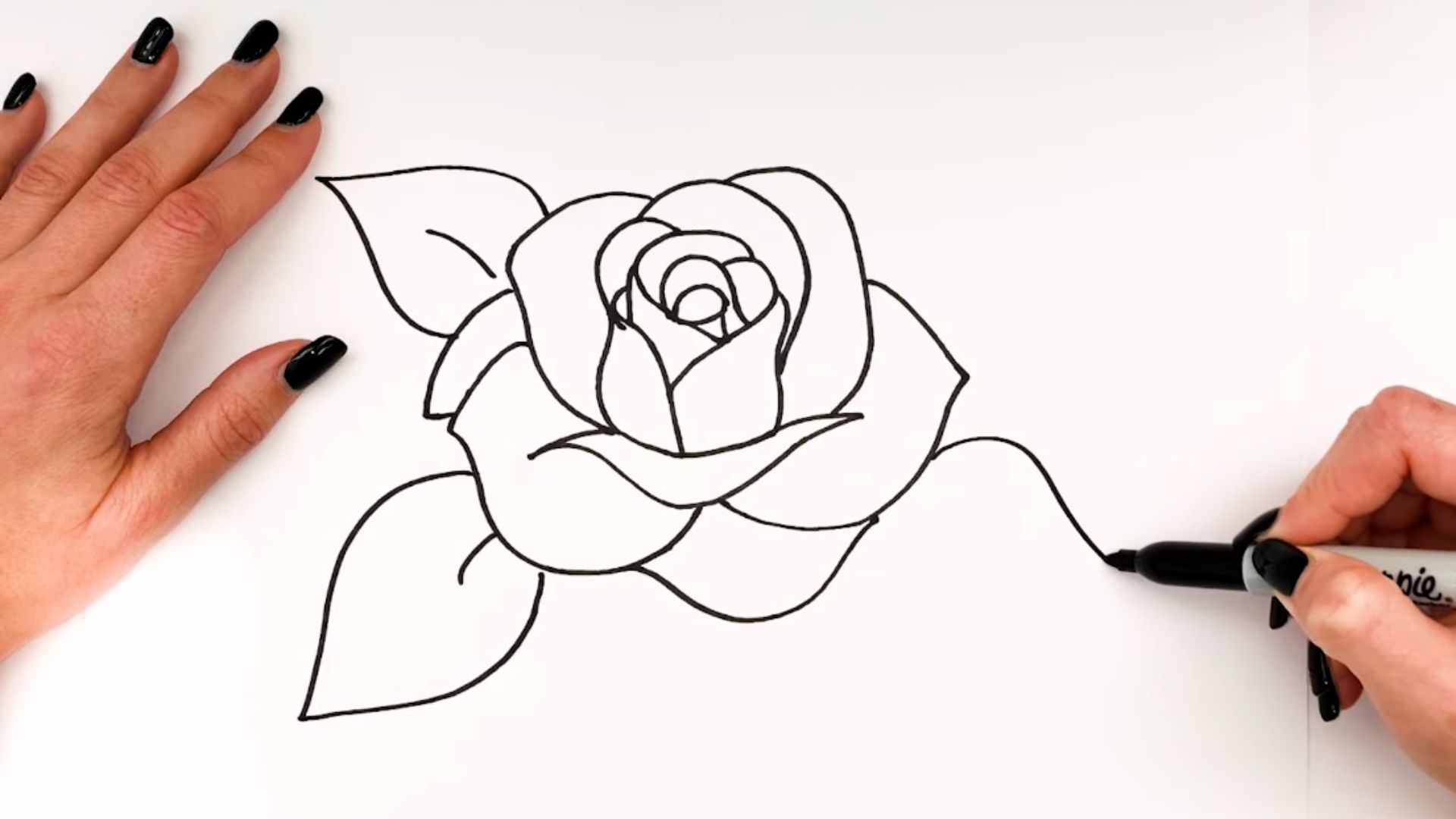 "Step-by-step guide illustrating how to draw a rose, featuring clear instructions and visual examples."