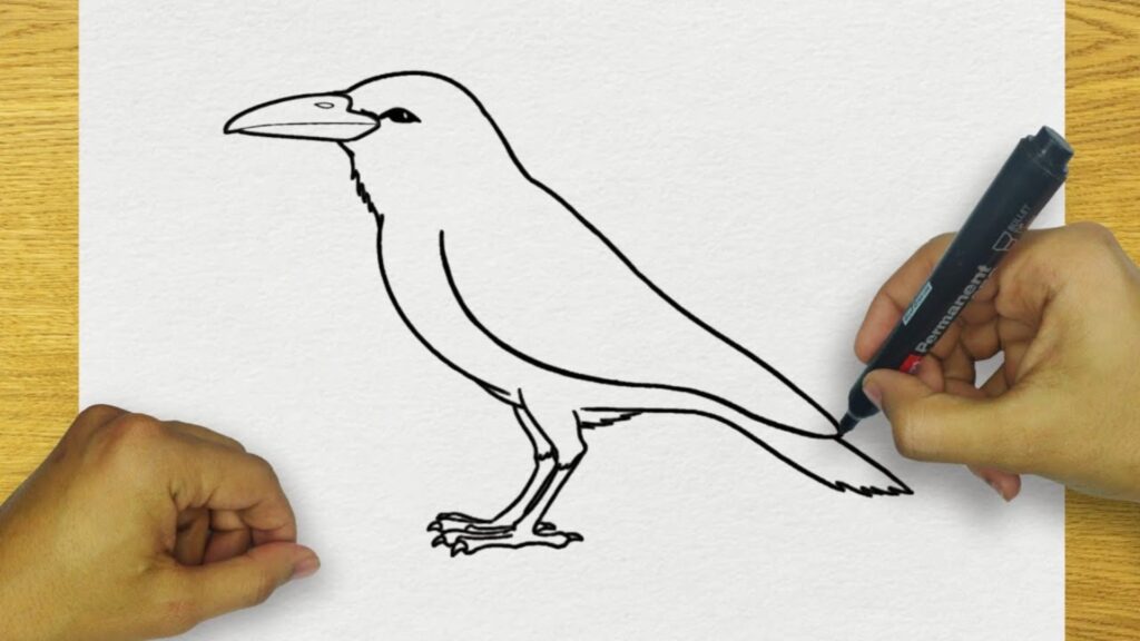 Visual on drawing a crow, outlining each step with accompanying illustrations for clarity and ease of understanding.