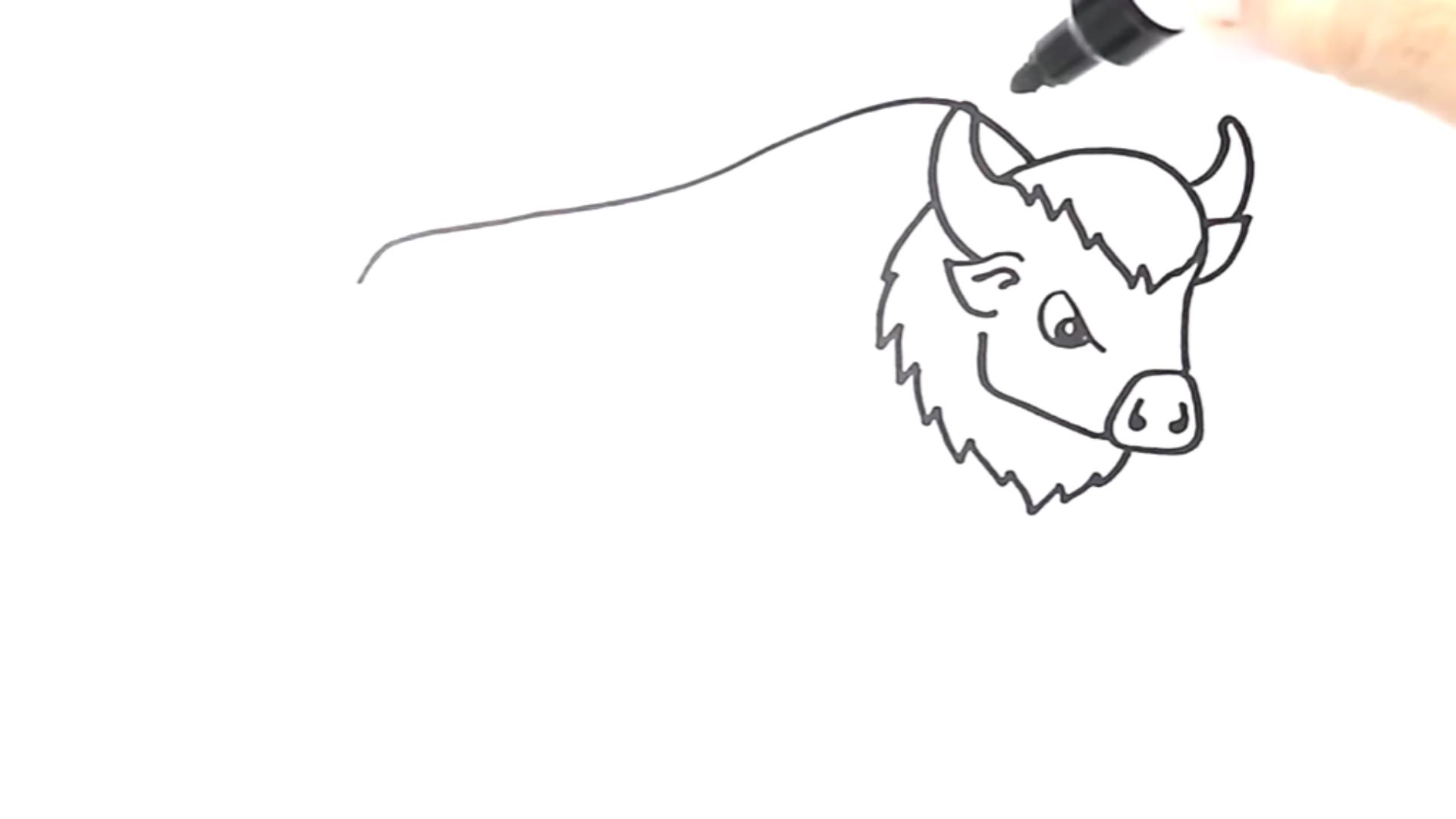 "Instructional image showing the process of drawing, highlighting essential drawing techniques and details."