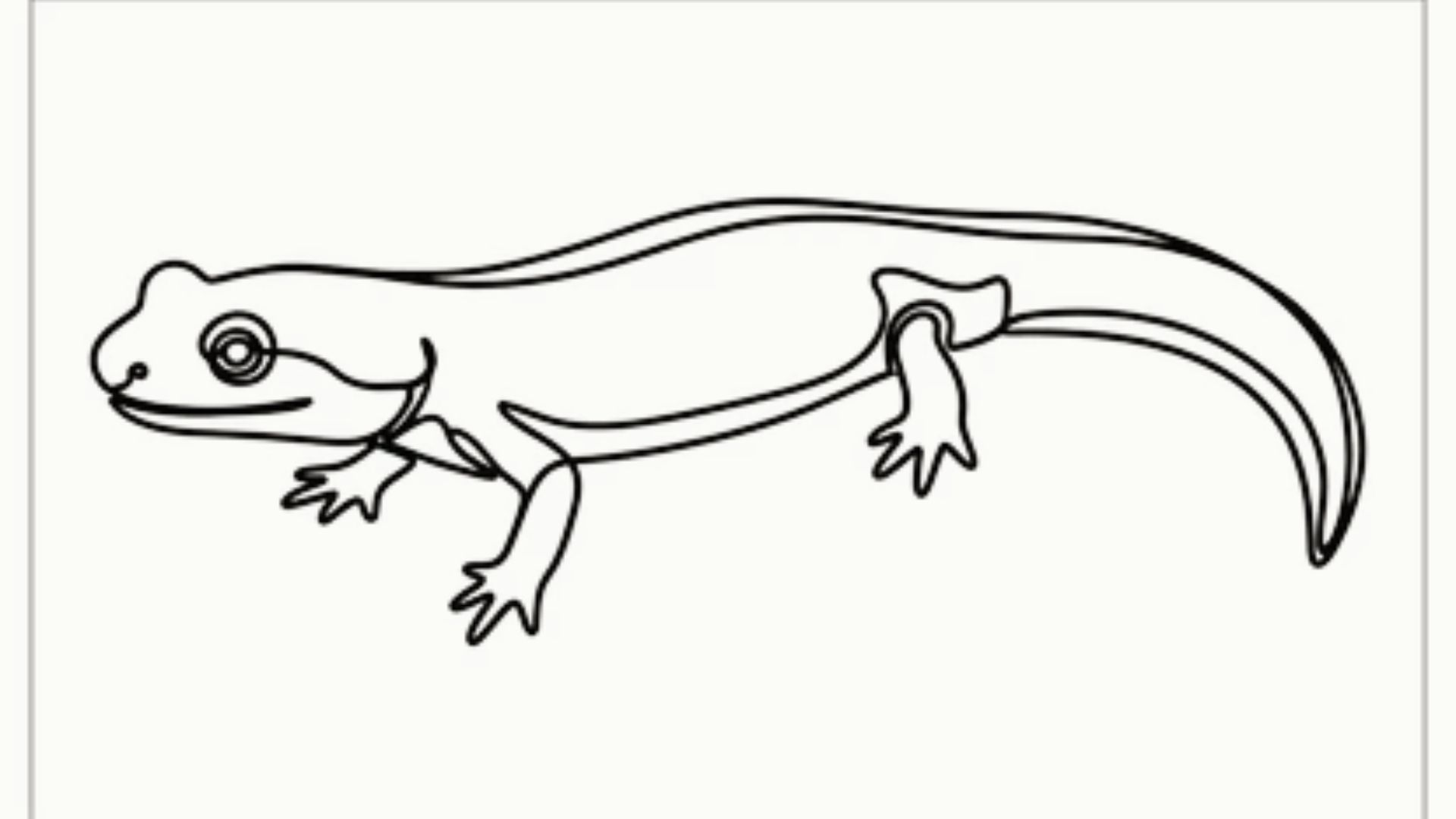 black and white ink drawing of an iguana in a side profile showing scales and spiny back.