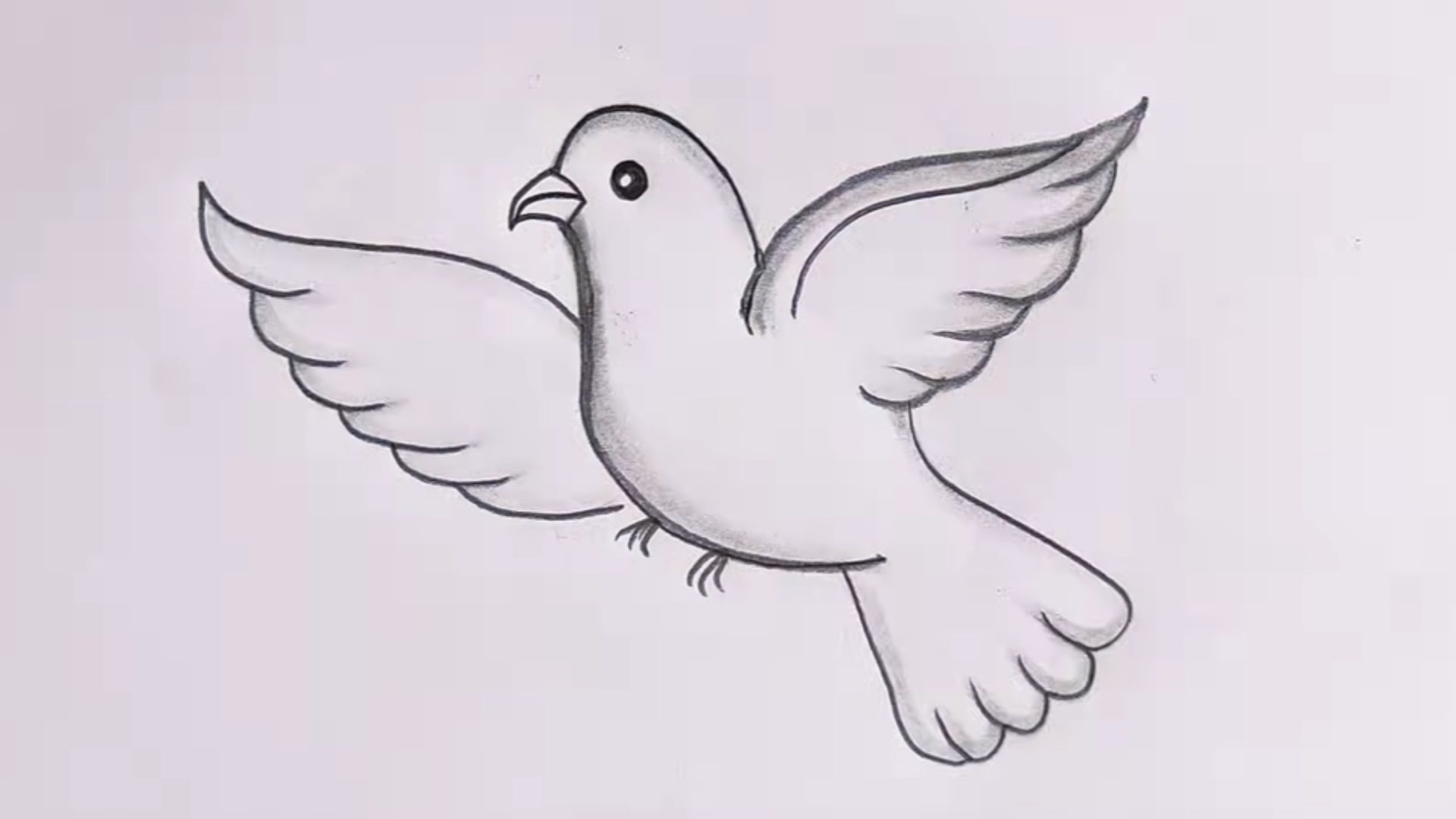 "Step-by-step guide illustrating how to draw a bird using pencil techniques."
