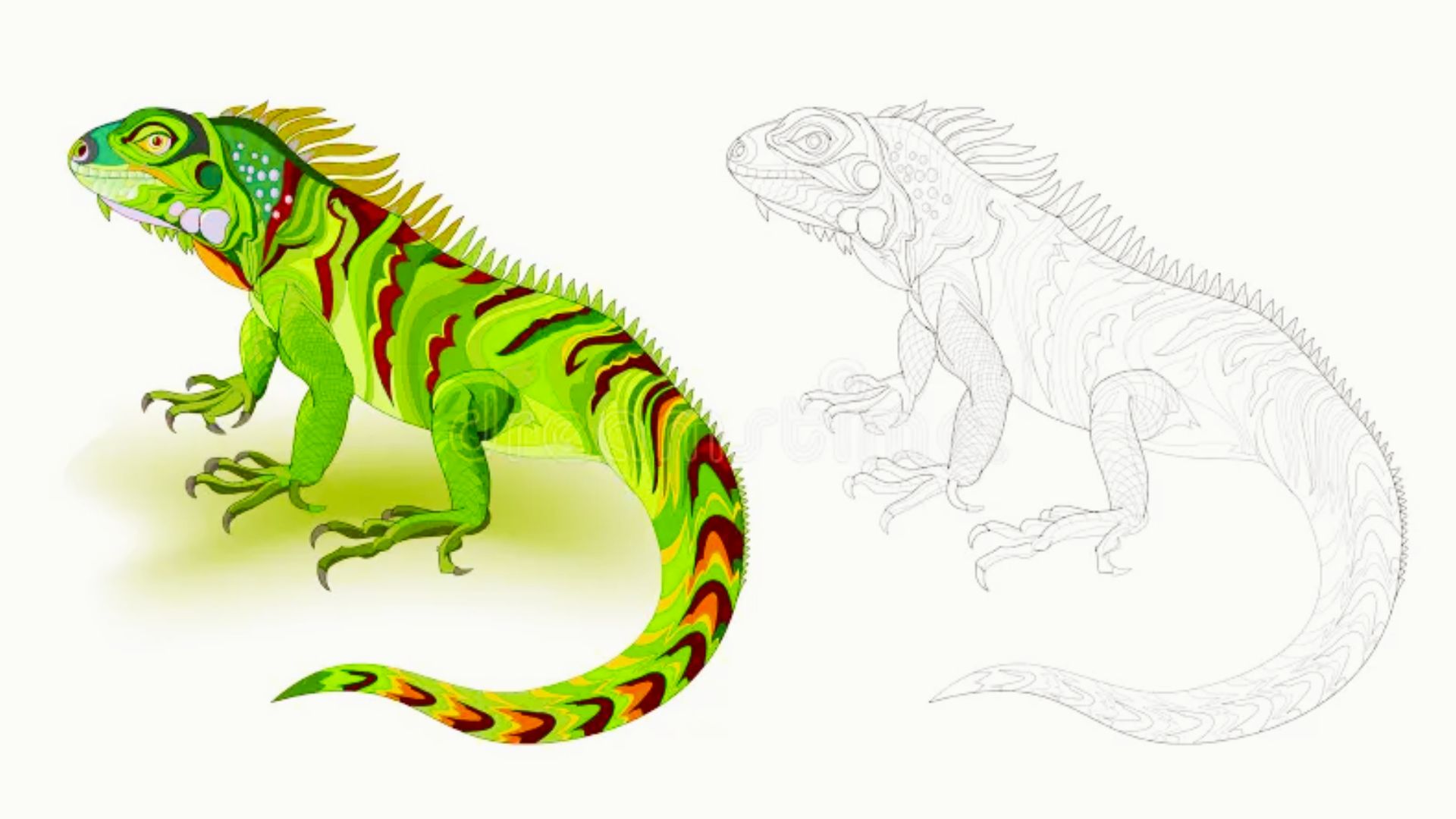 Digital illustration of a green iguana with red and yellow patterns beside its line art version.