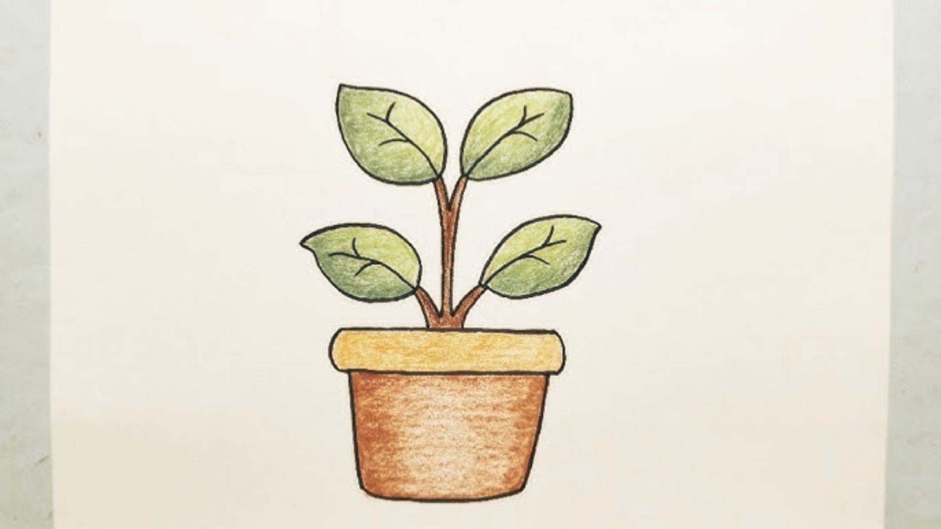 Colorful hand drawn potted plant with four green leaves and brown pot, easy kids drawing tutorial.