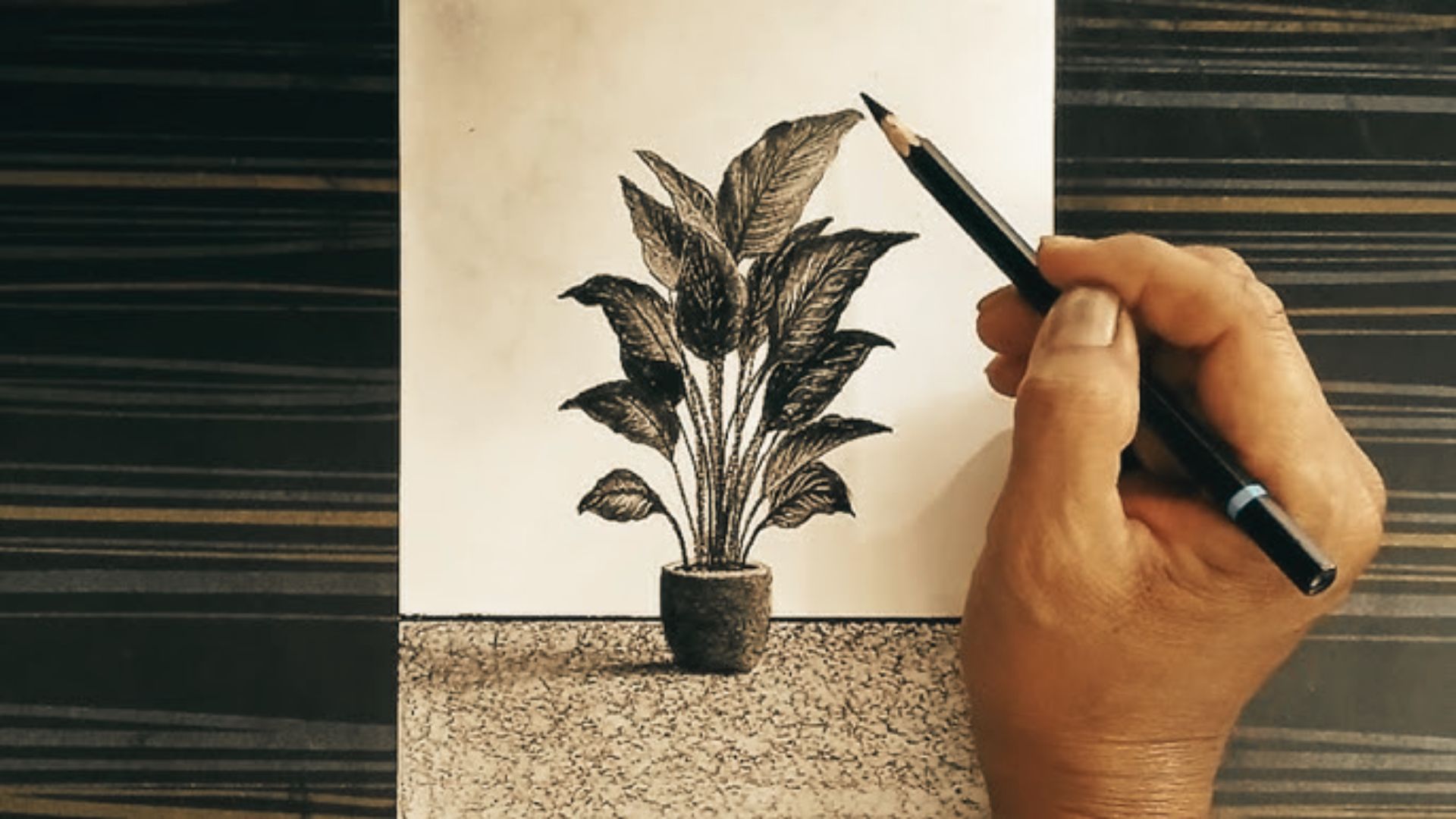Hand sketches a detailed leafy potted plant with pencil shading on paper for easy plant drawing.