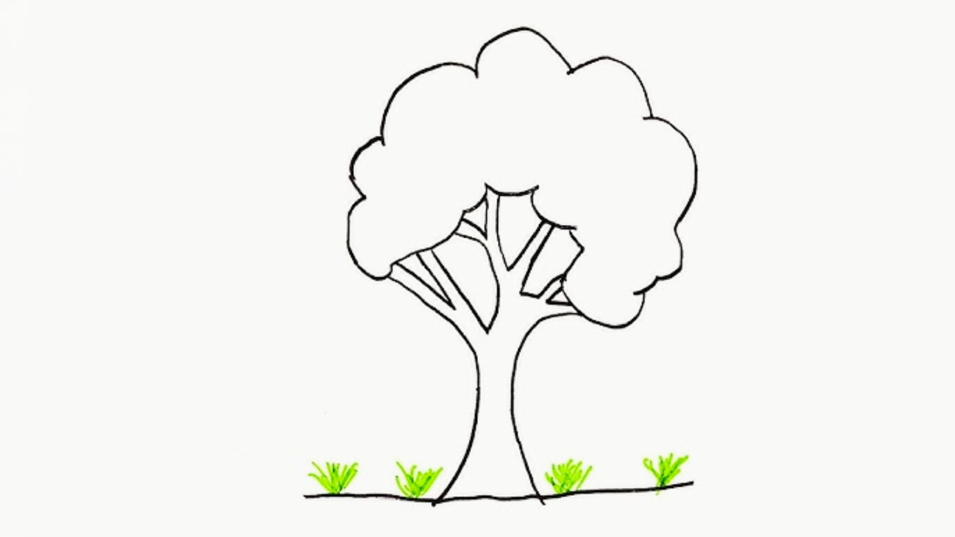 Simple line drawing of a tree with a puffy cloud-shaped canopy and small green grass tufts.