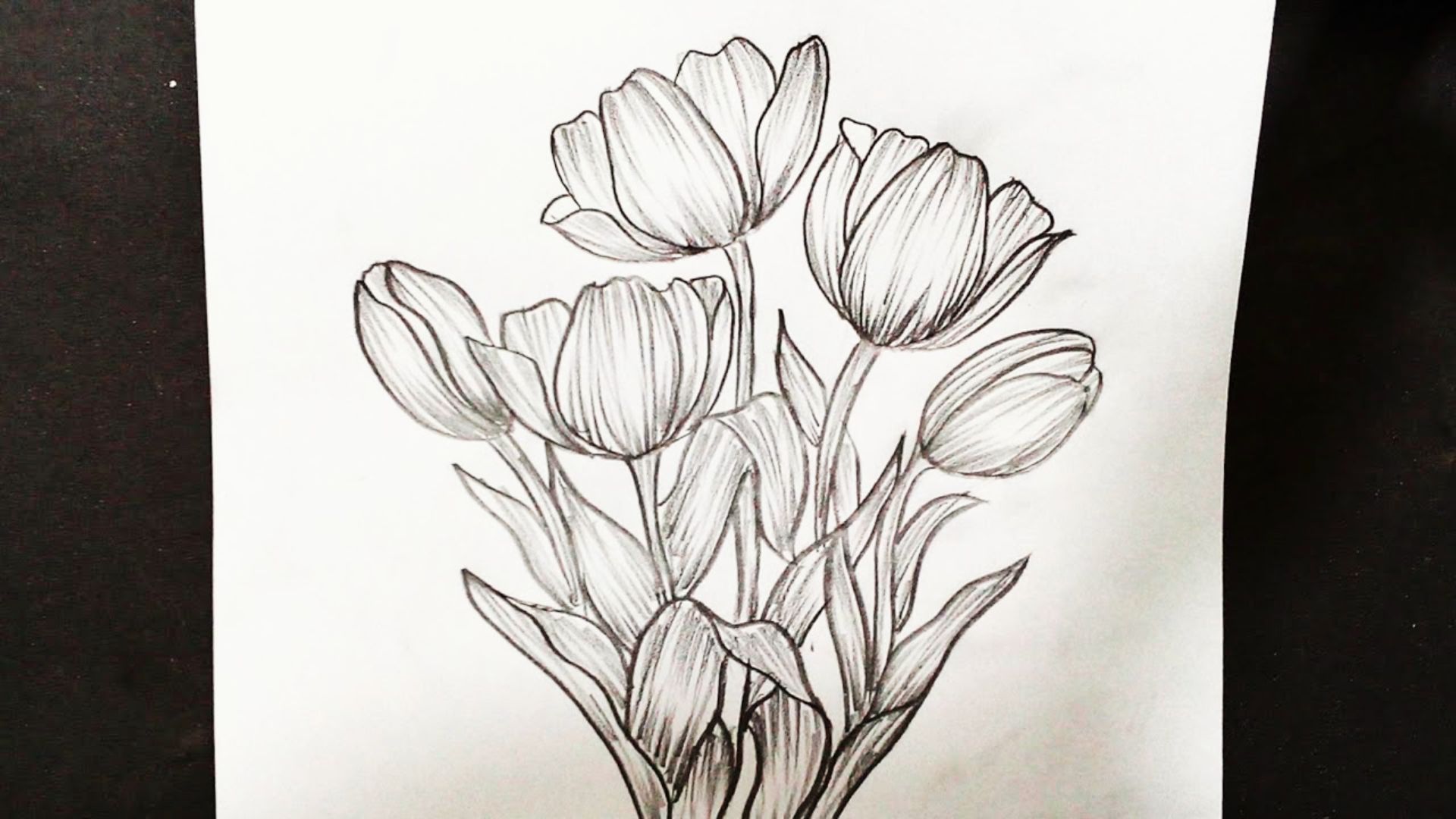 Pencil sketch of a bouquet of five tulips with detailed line work and shading.