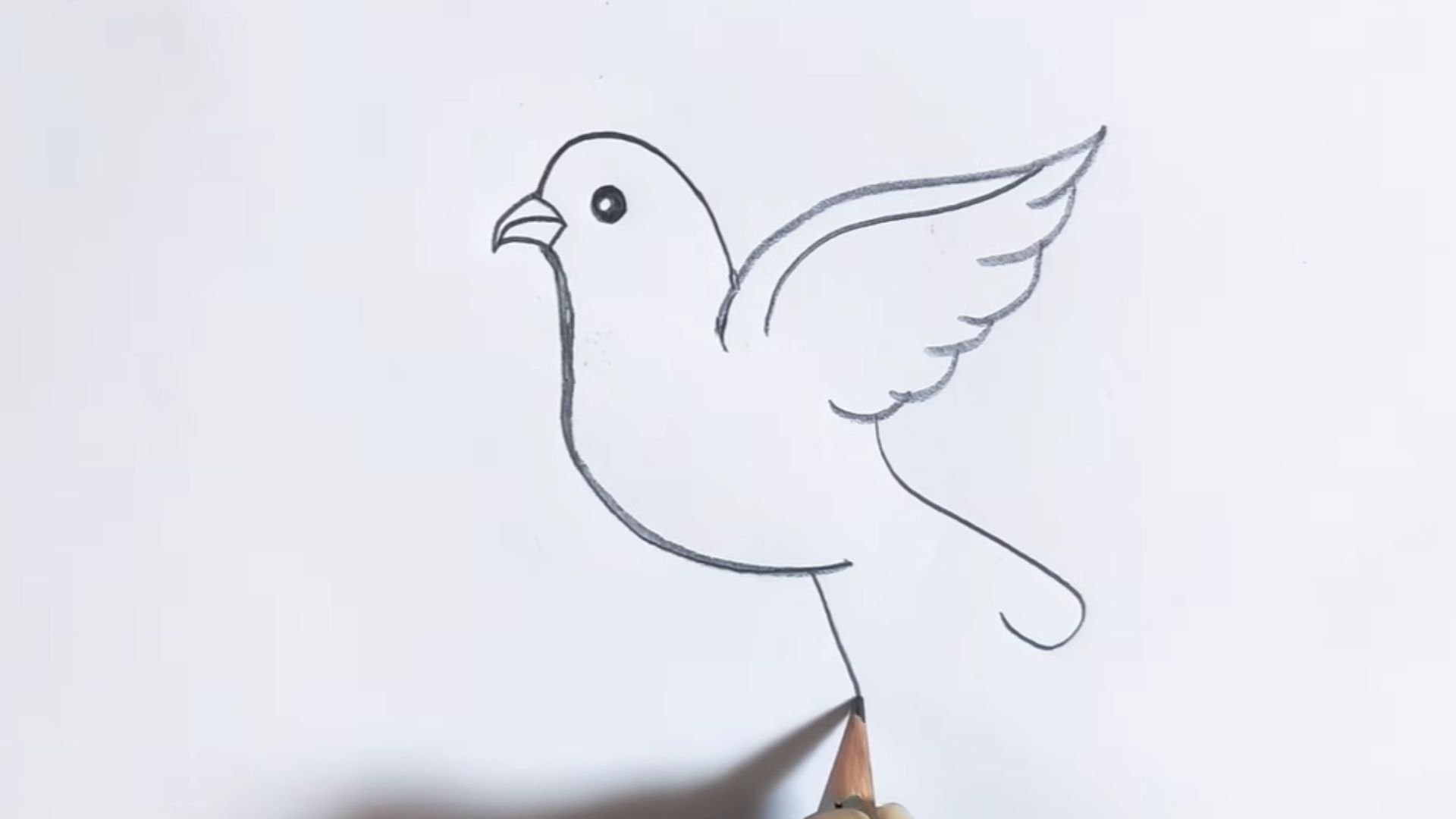 "Instructional image showing the process of drawing a bird, with clear steps and visual aids for artists."