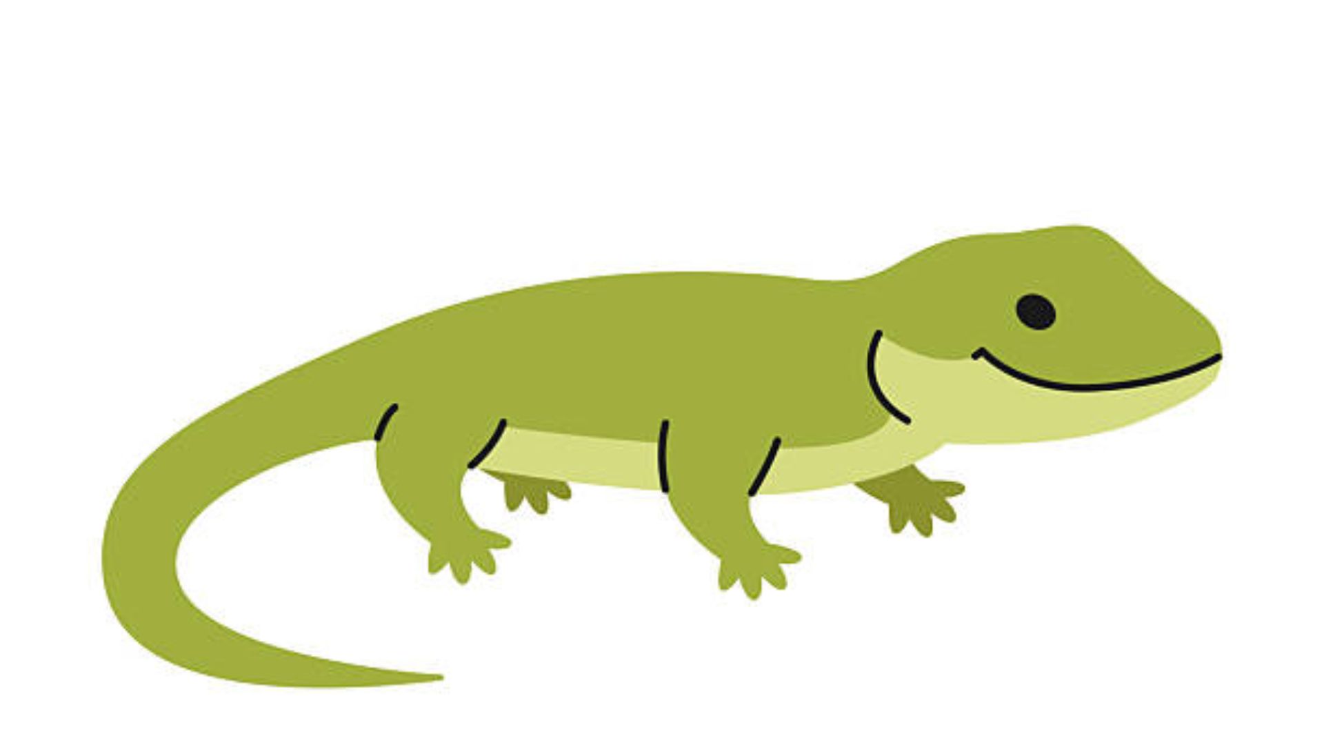 Minimalist cartoon of a smiling green lizard with a lighter belly and small spots.
