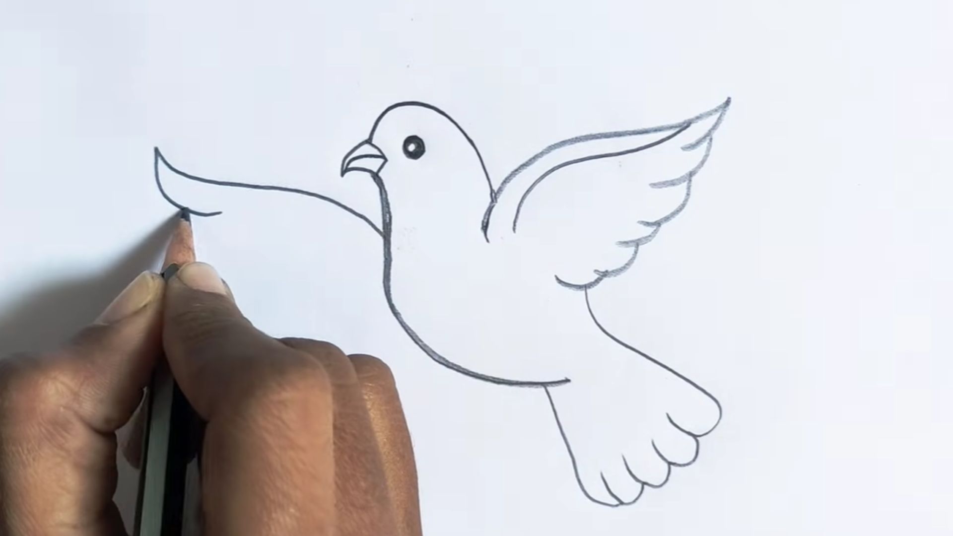 "Visual tutorial on drawing a bird, highlighting essential techniques and tips for creating a realistic representation."