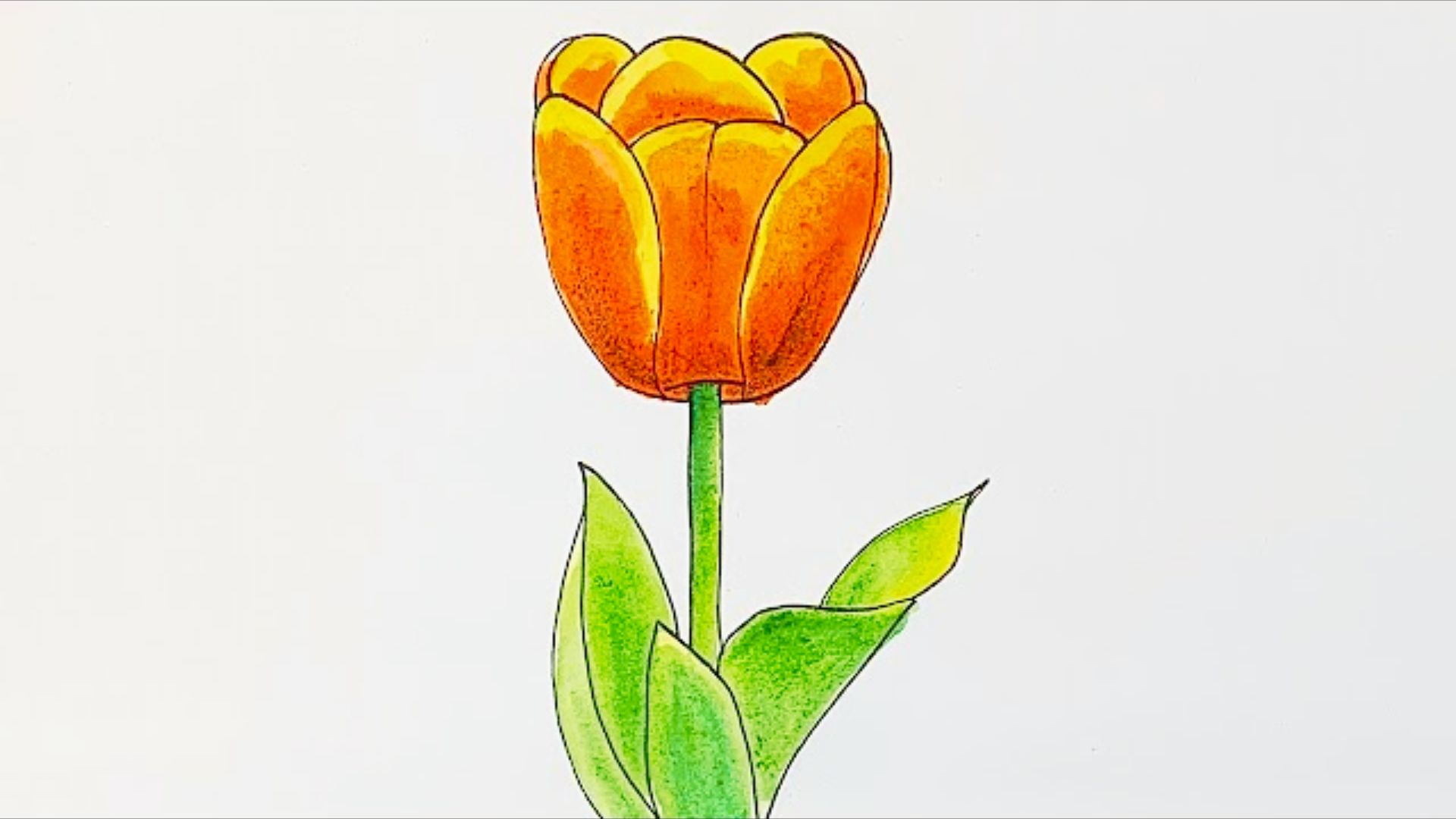 Hand-drawn tulip with bold black outlines and green textured leaves on a white background.