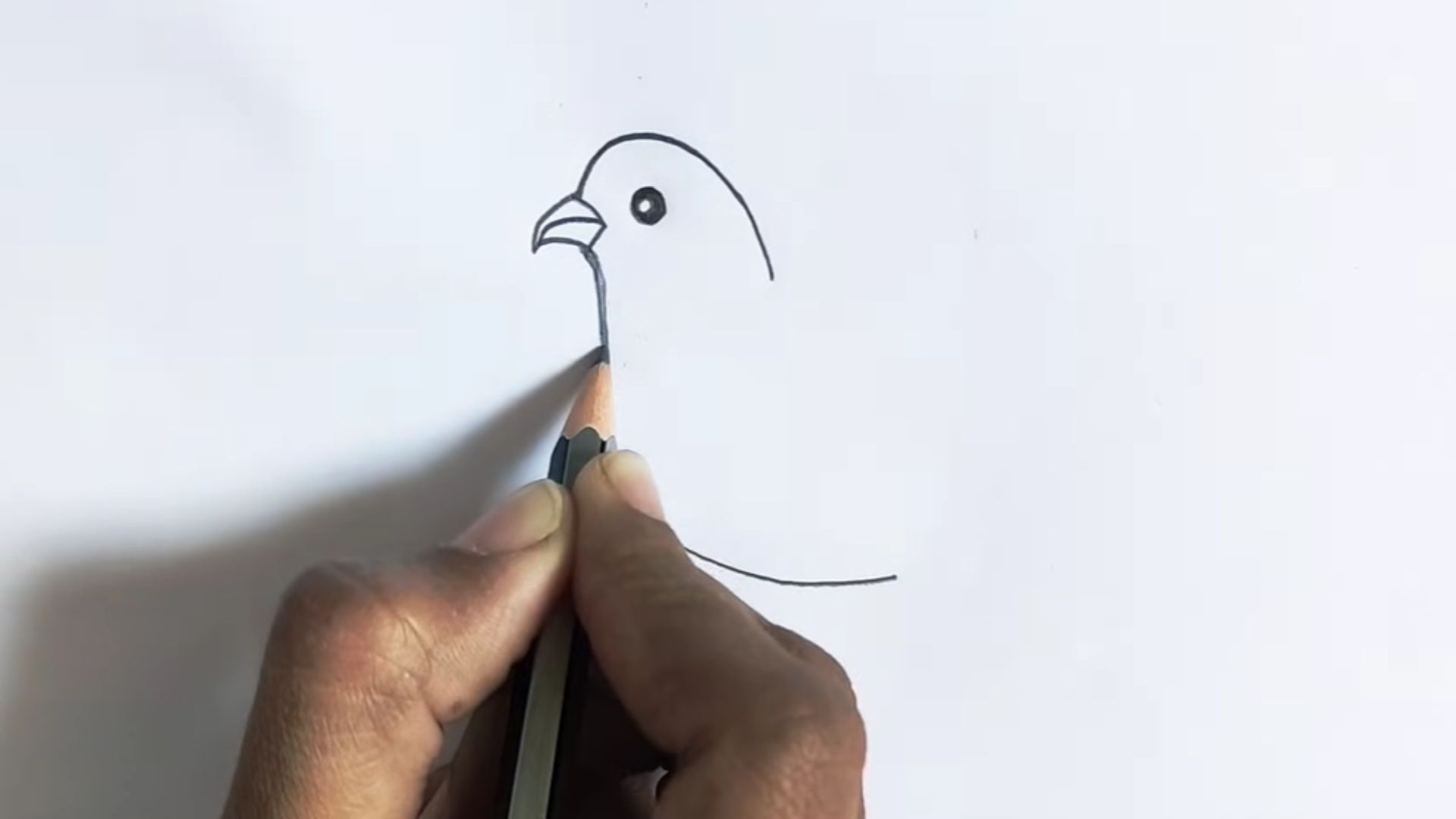 "Instructional image showing the process of drawing a bird, with detailed steps and visual examples for artists."