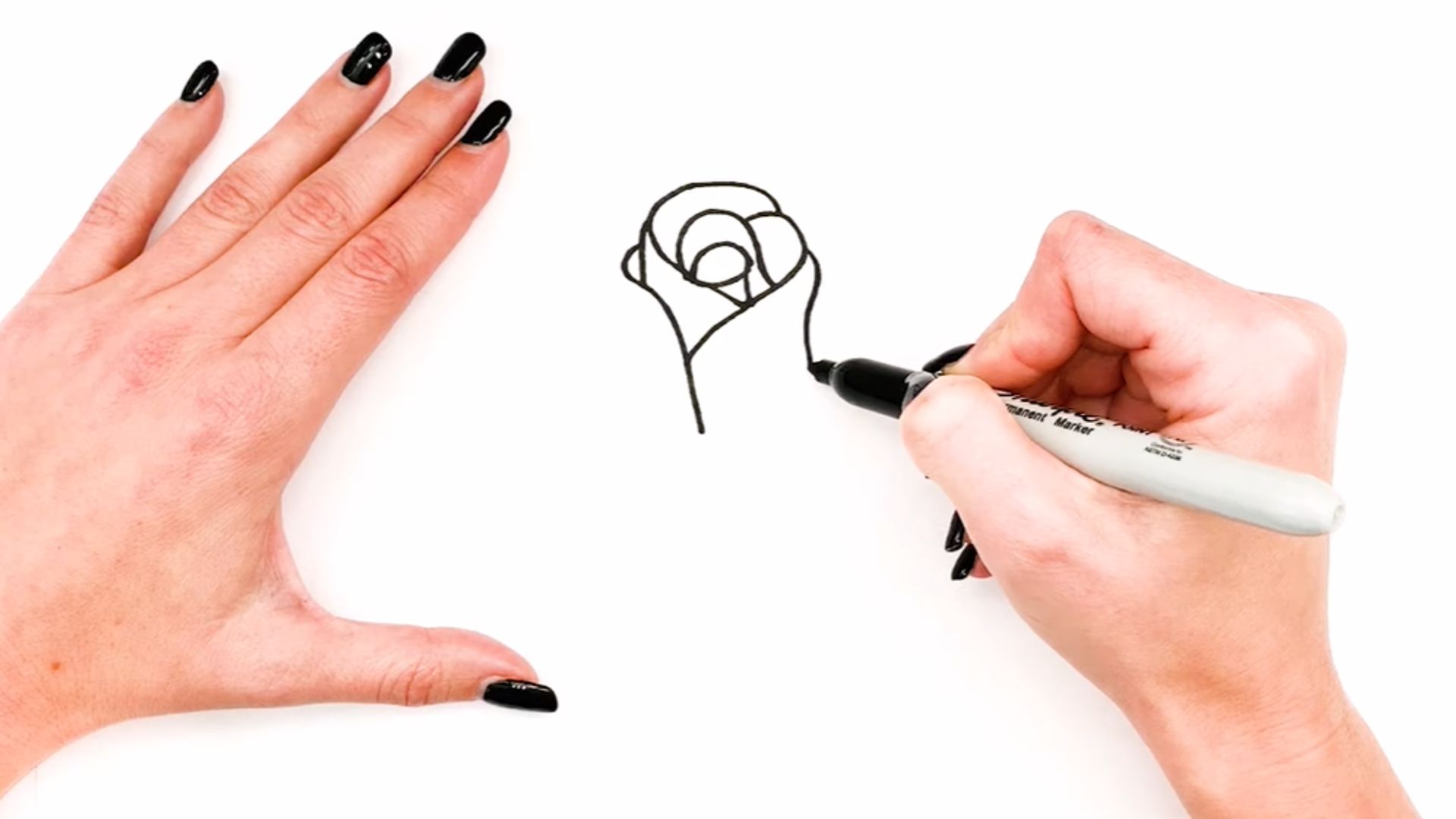 "A person using a marker to draw a detailed flower on a piece of paper."